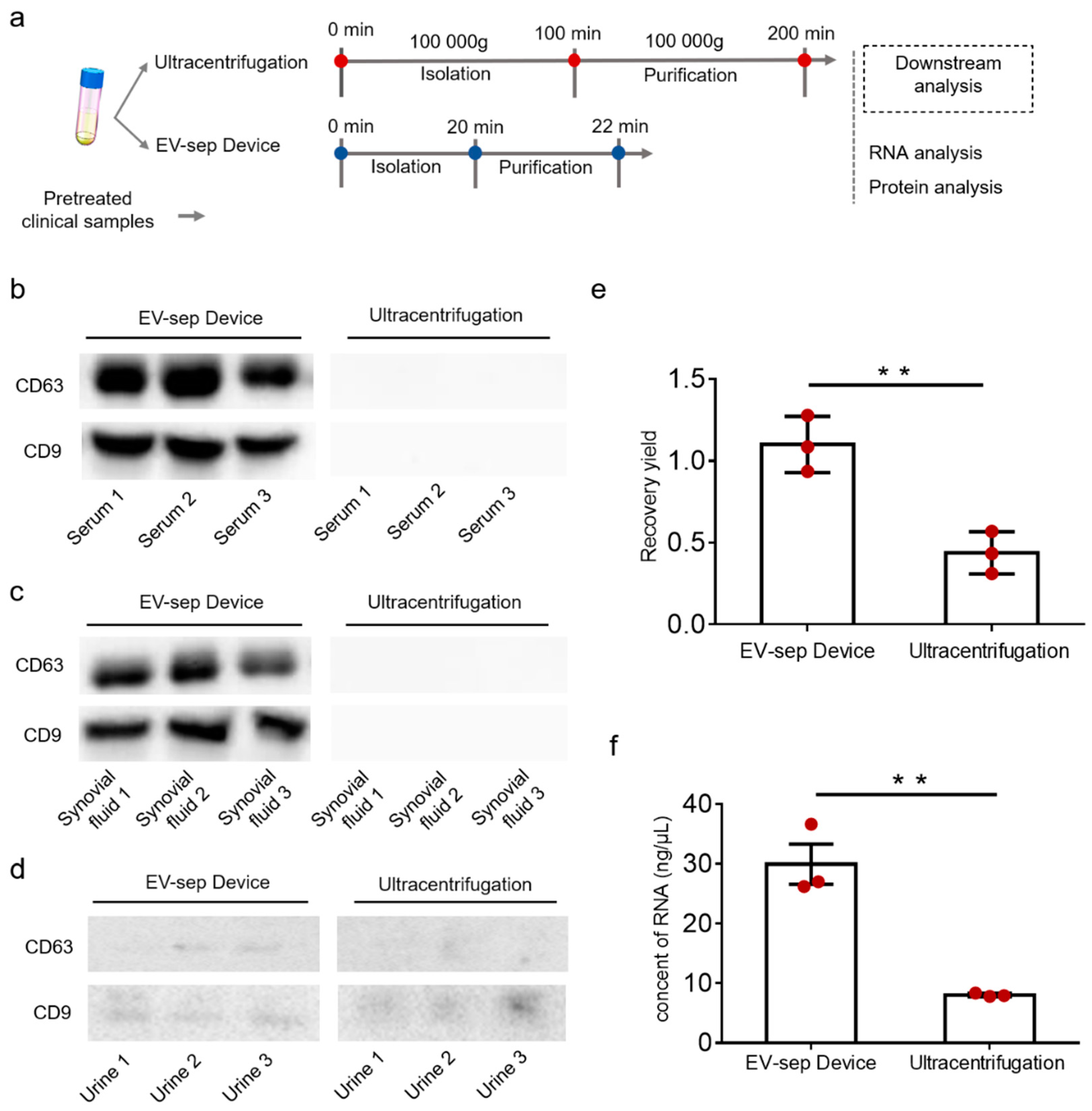 Micromachines 12 01182 g005
