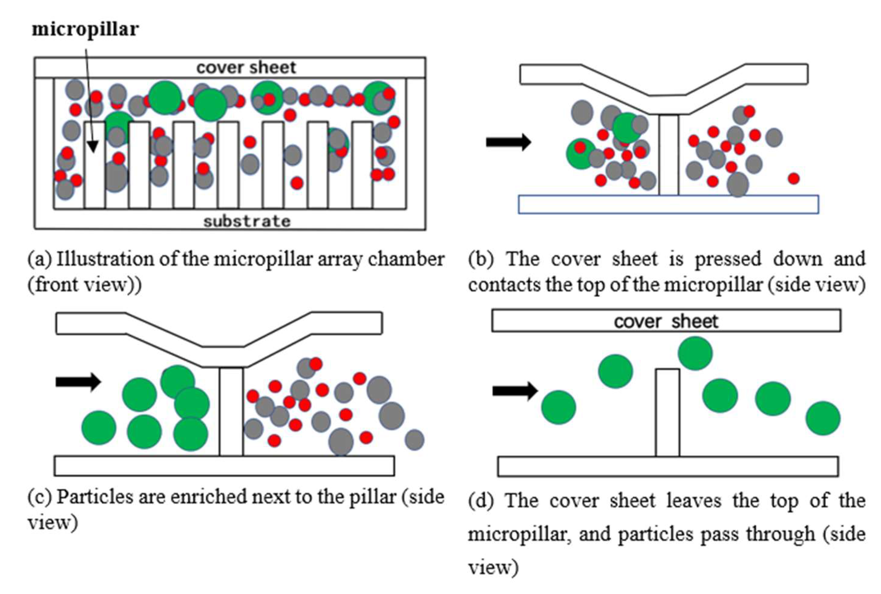 Micromachines 12 01218 g001