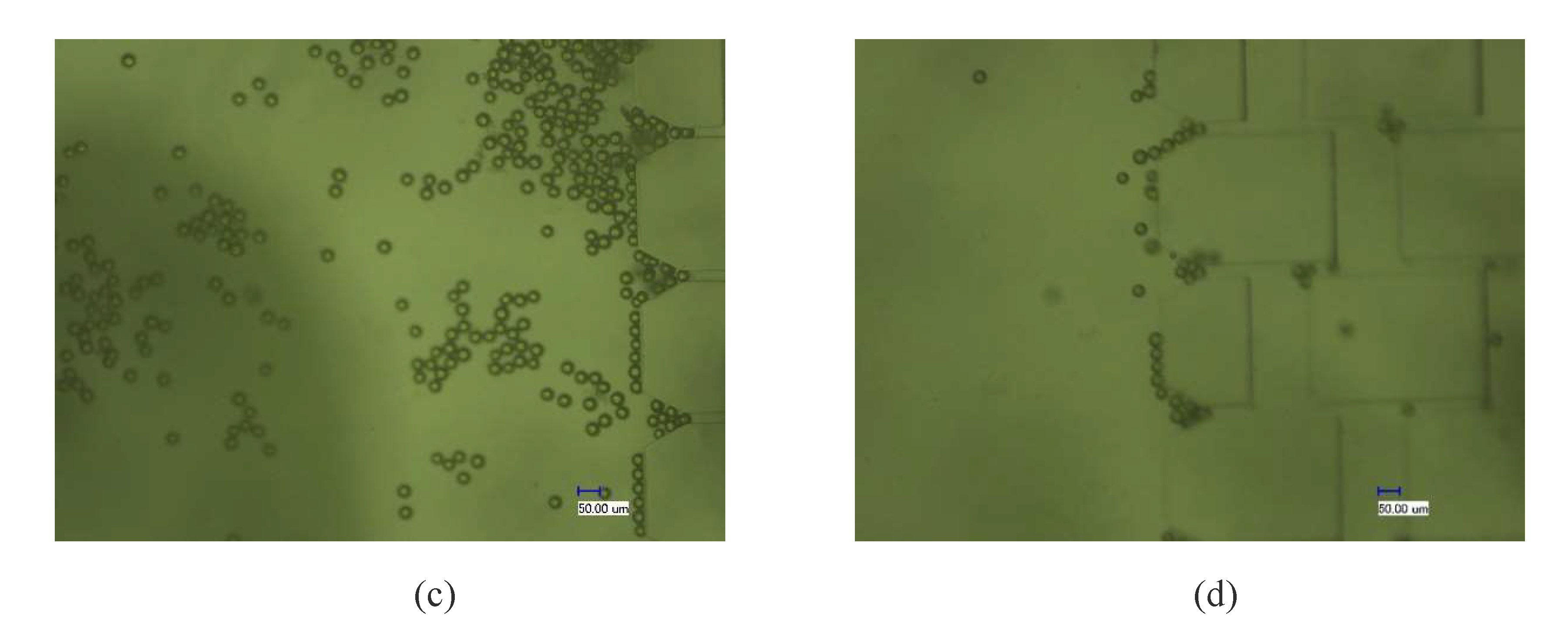 Micromachines 12 01218 g011b