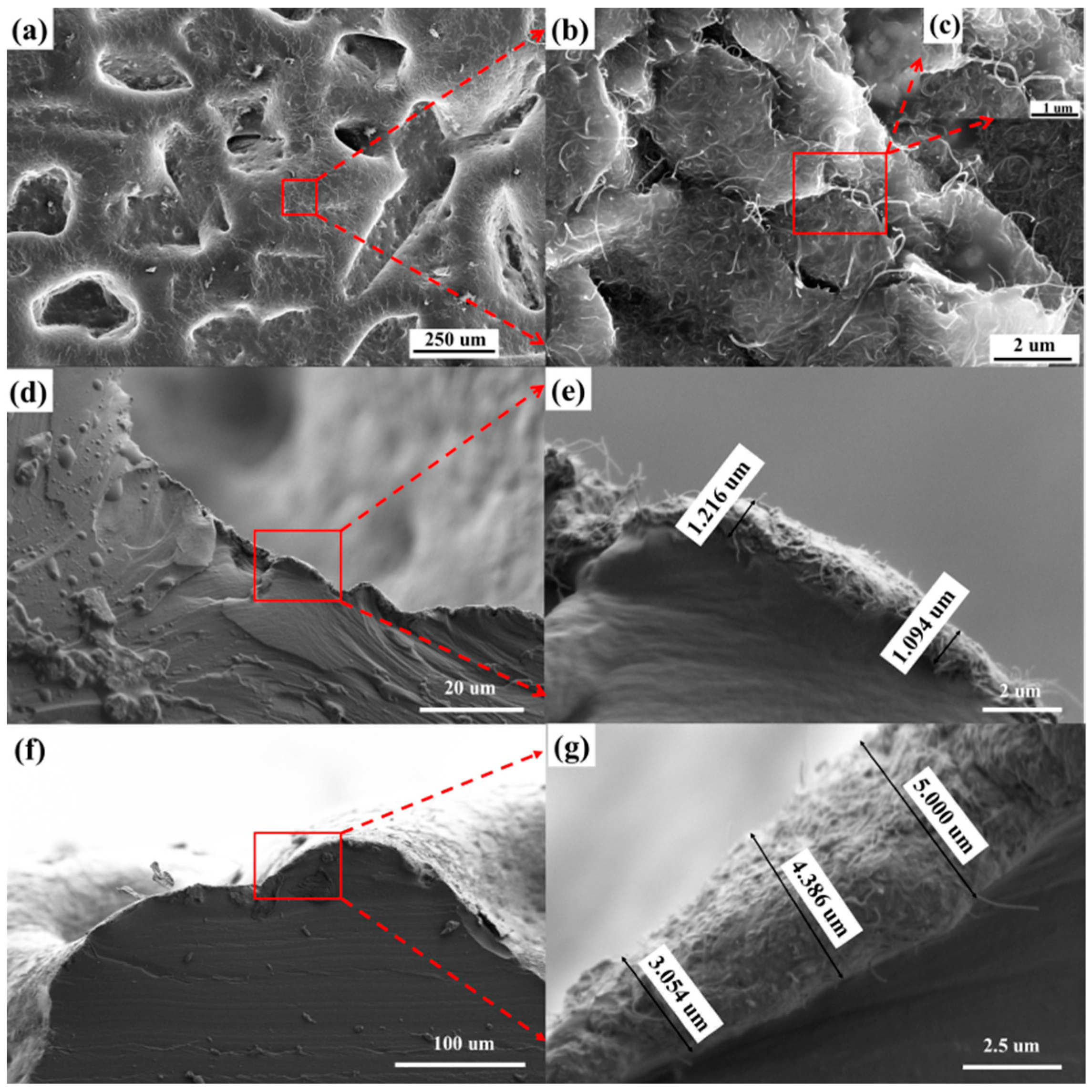 Micromachines 12 01219 g002