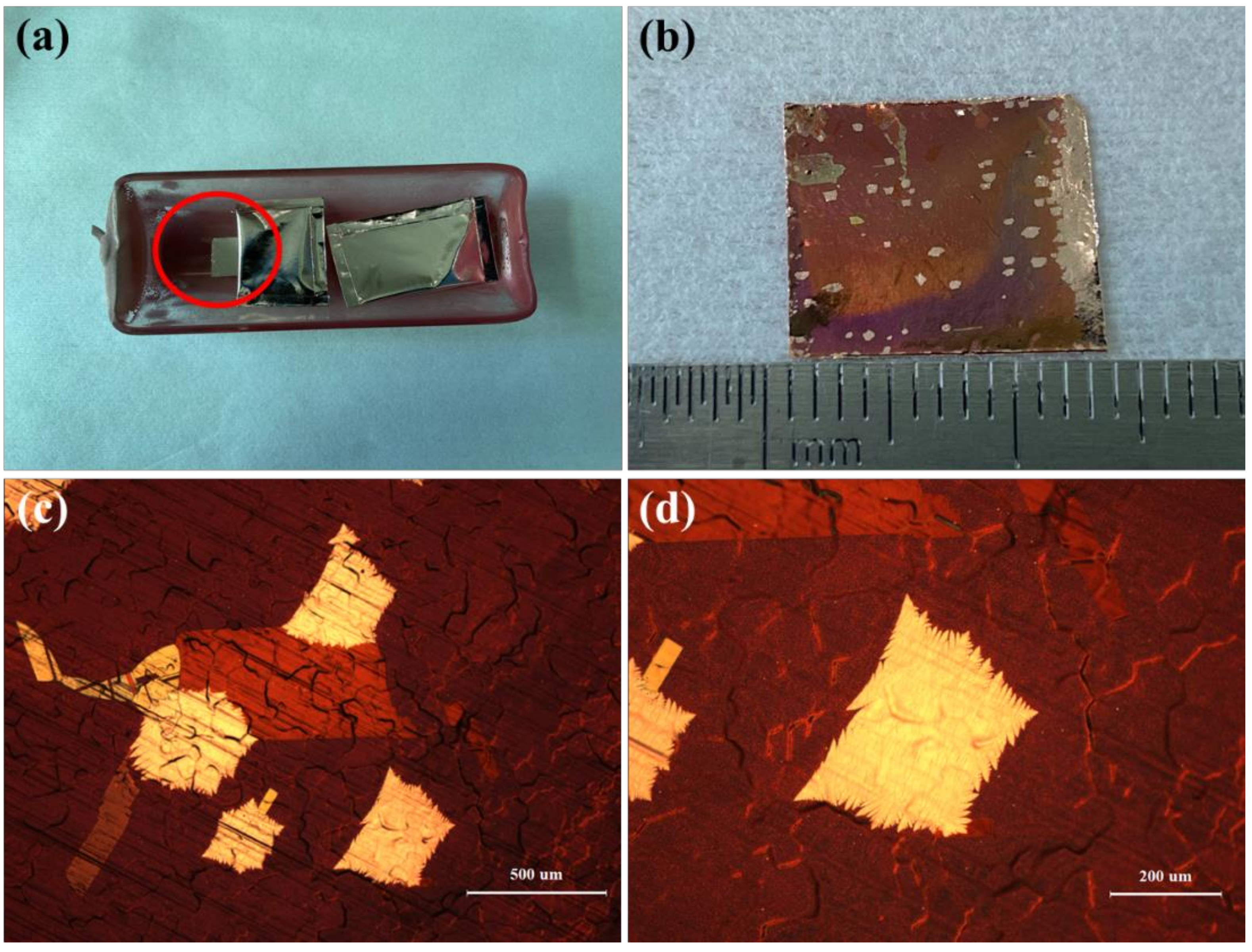 Micromachines 12 01236 g006