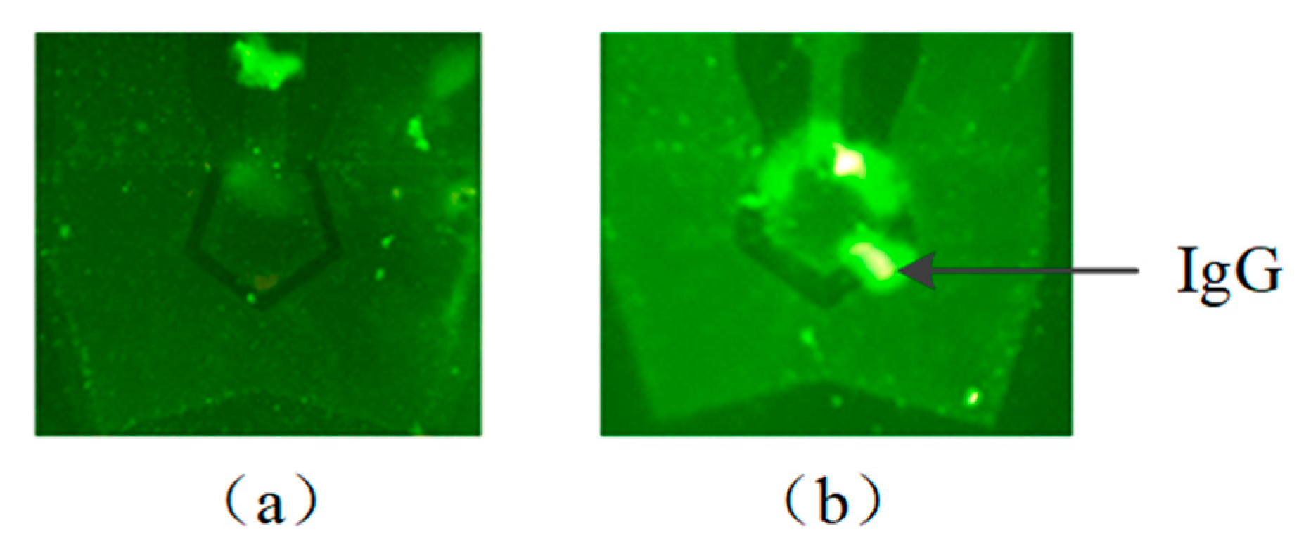 Micromachines 12 01238 g004