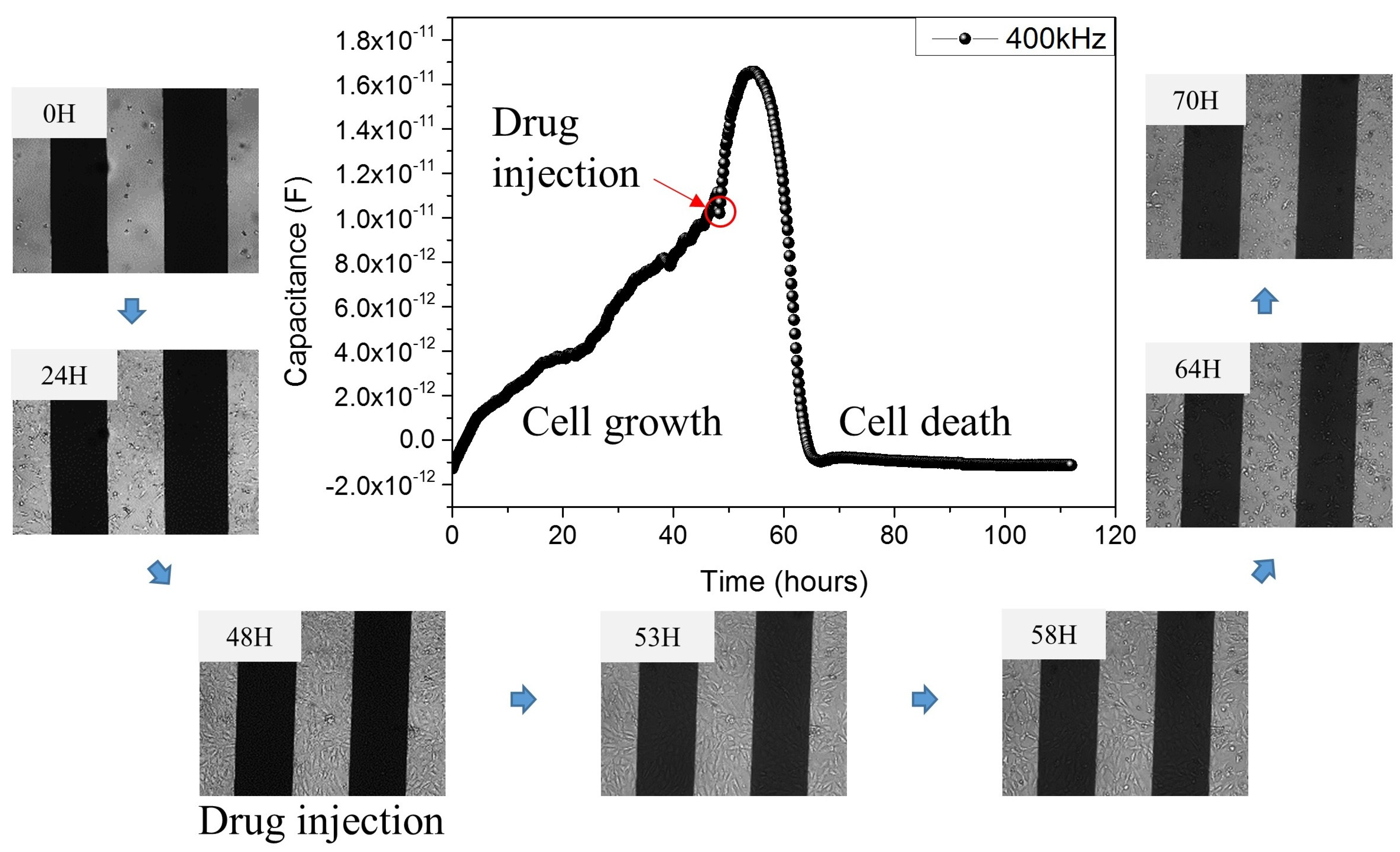 Micromachines 12 01248 g005
