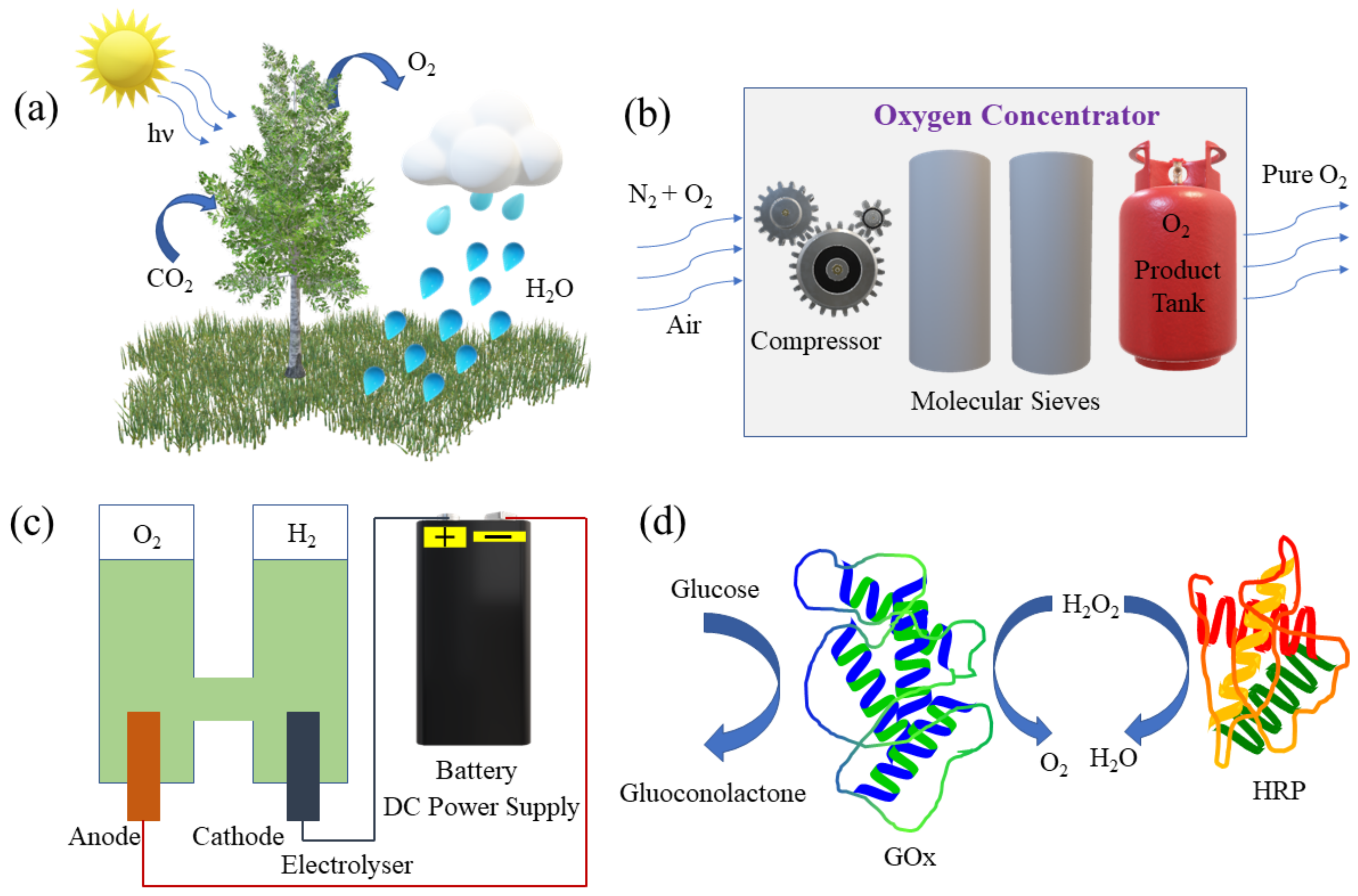 O2 Generation Process Oxygen Generation Using Catalytic Nano/Micromotors | MDPI