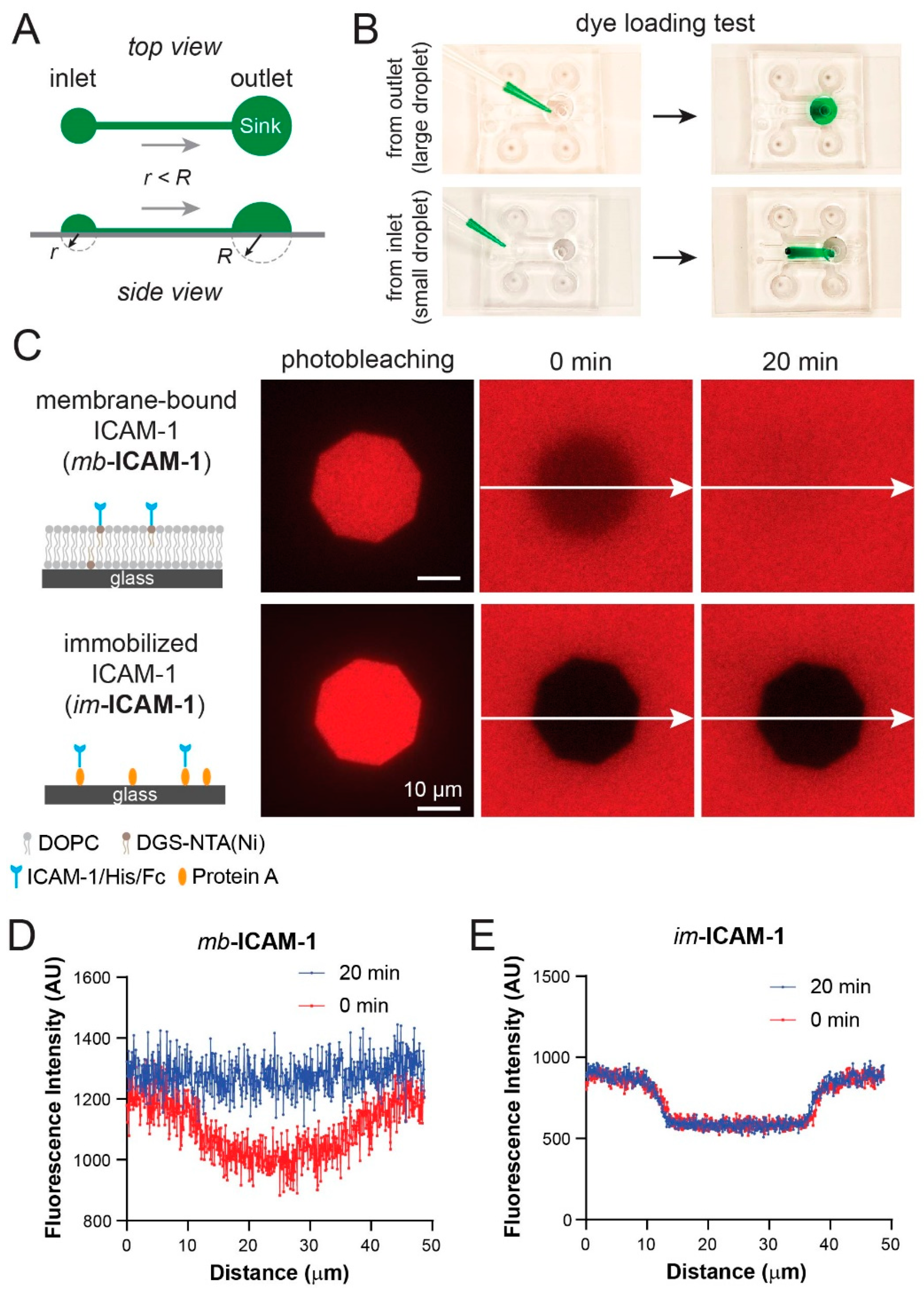 Micromachines 12 01254 g005