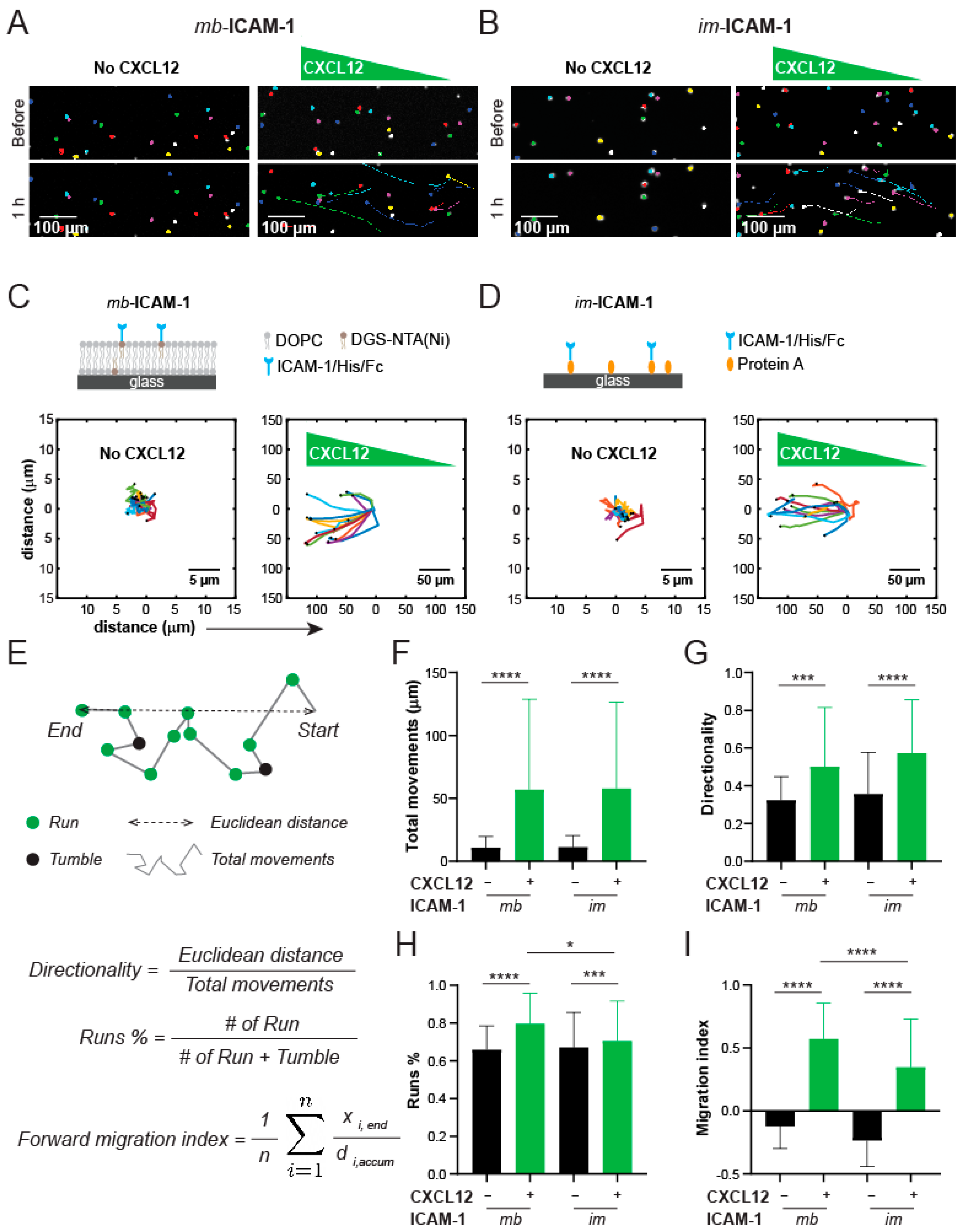 Micromachines 12 01254 g006