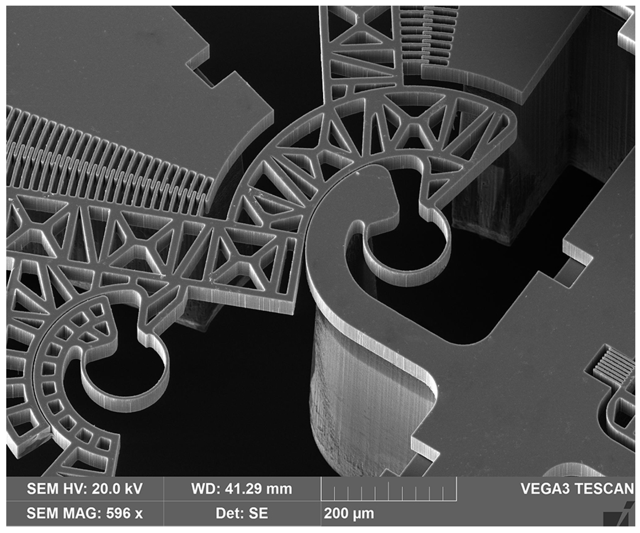 Micromachines 12 01263 g005