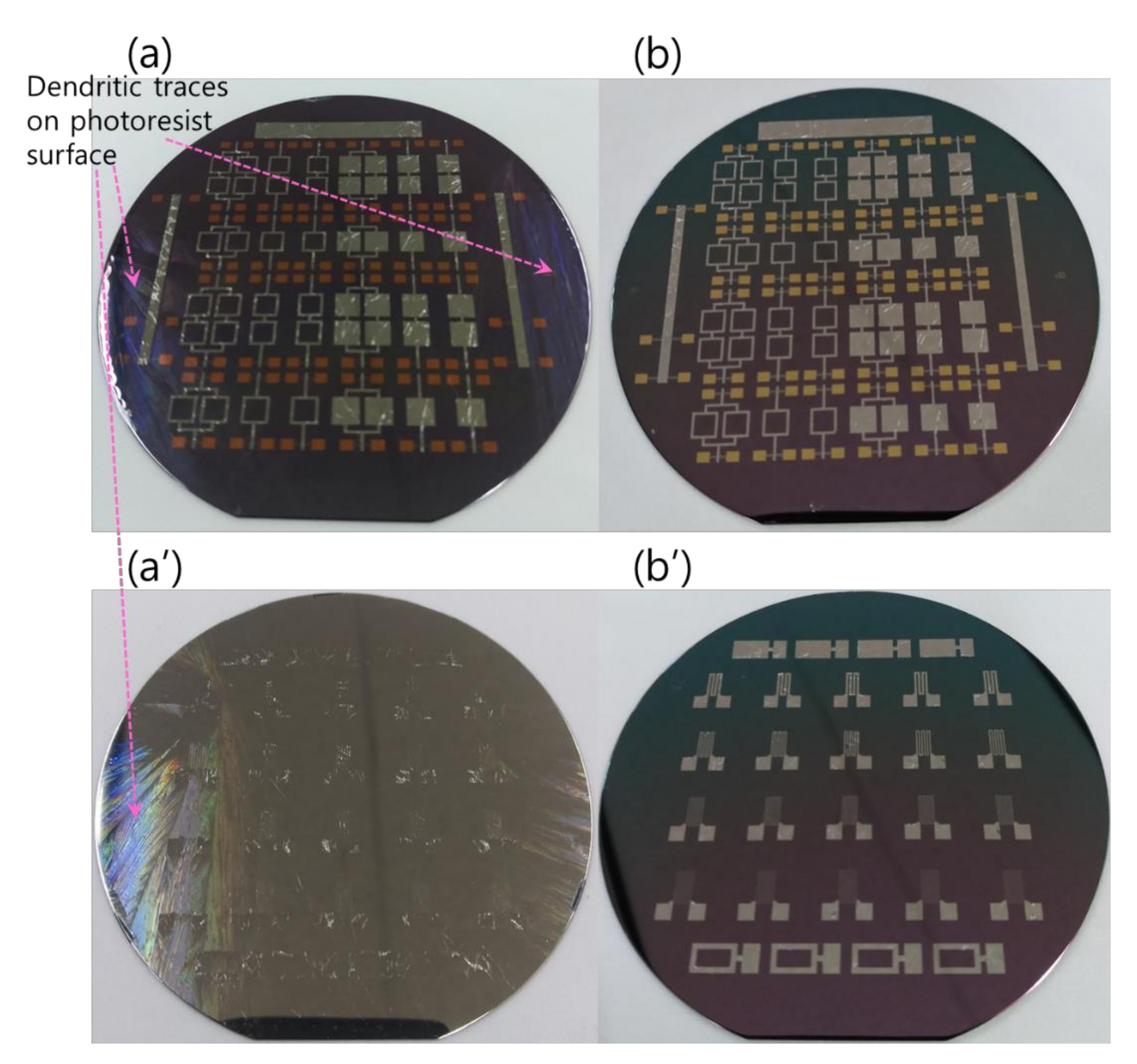 Micromachines 12 01272 g013