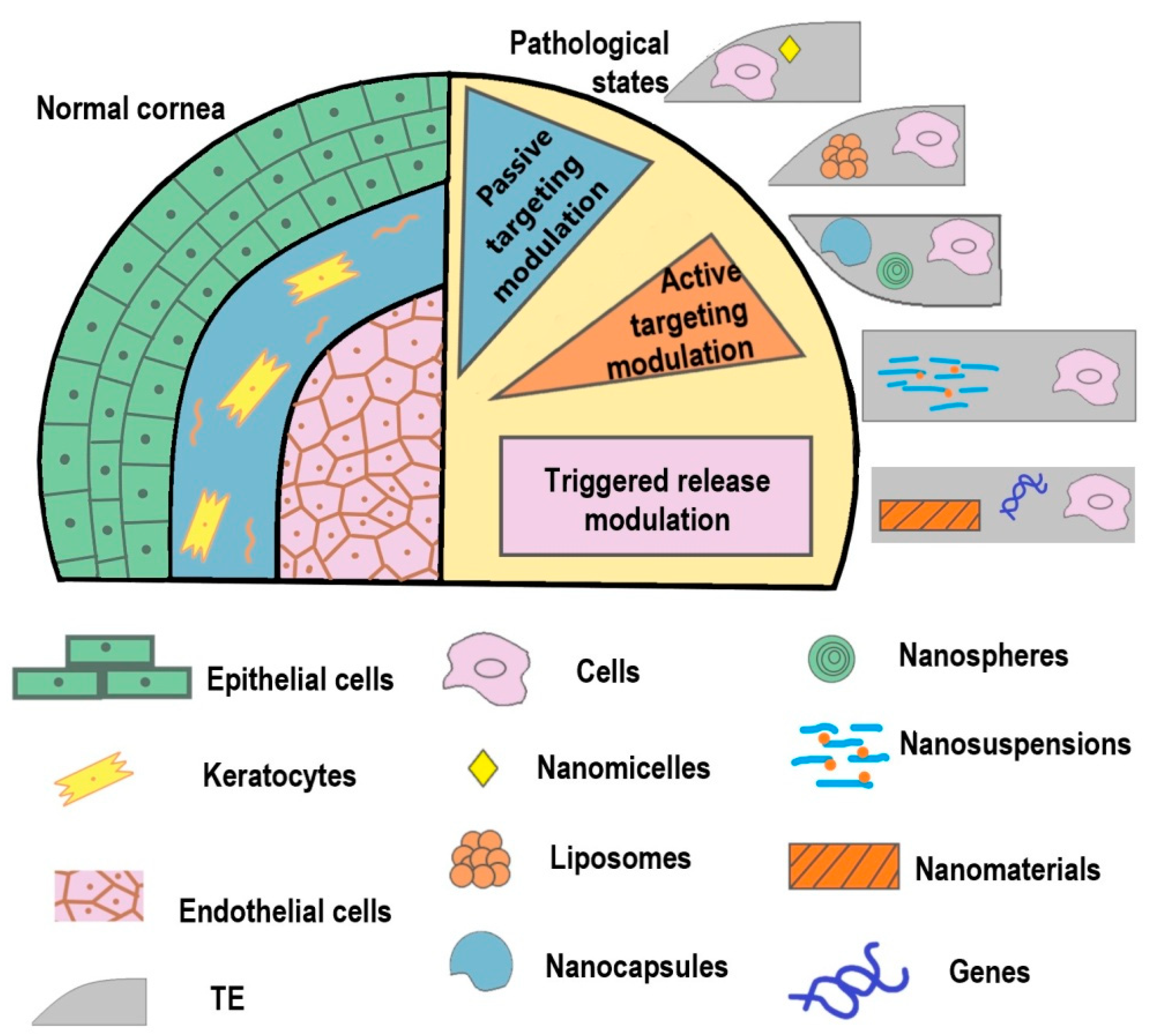 Micromachines 12 01336 g001