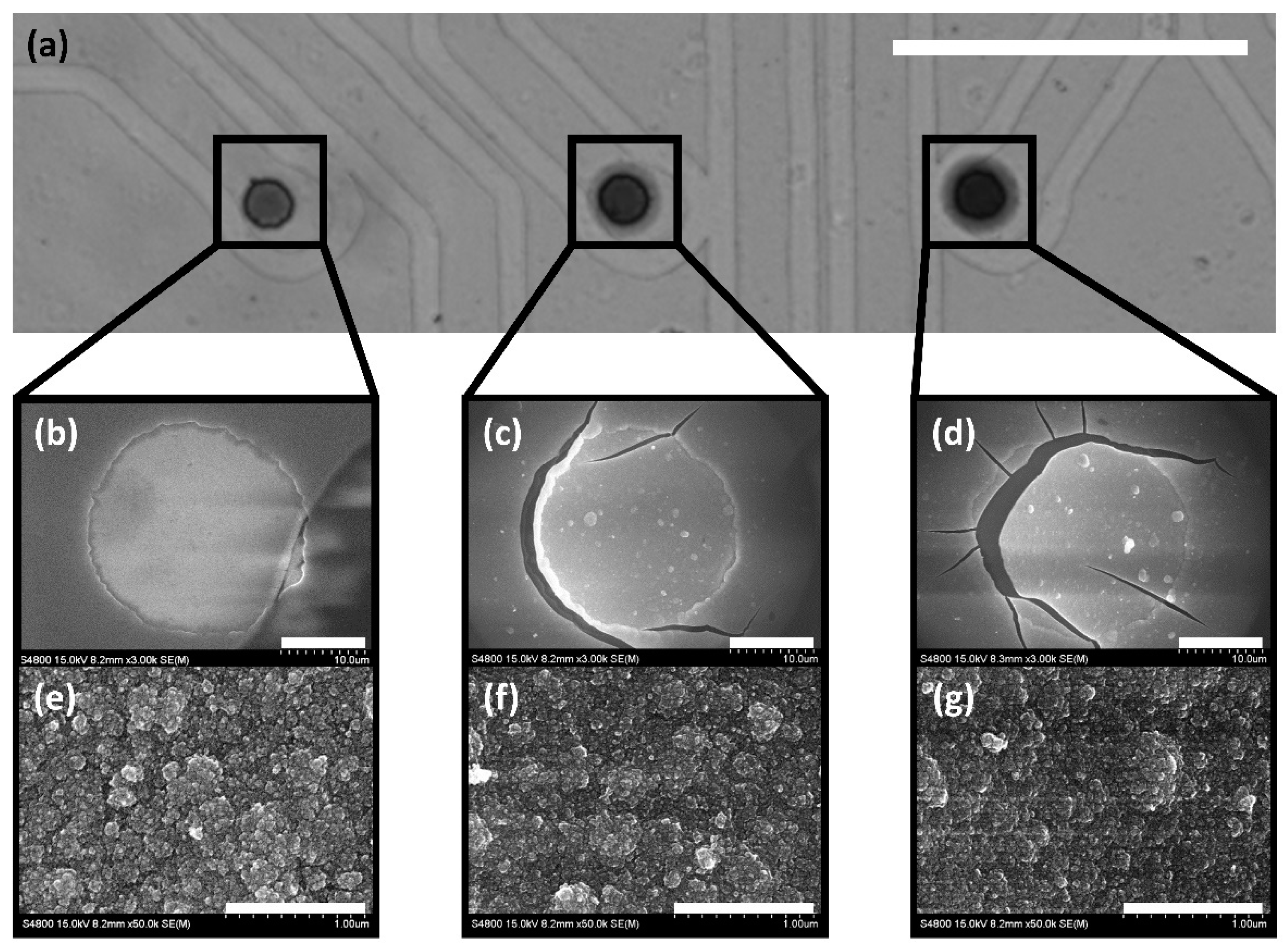Micromachines 12 01347 g005