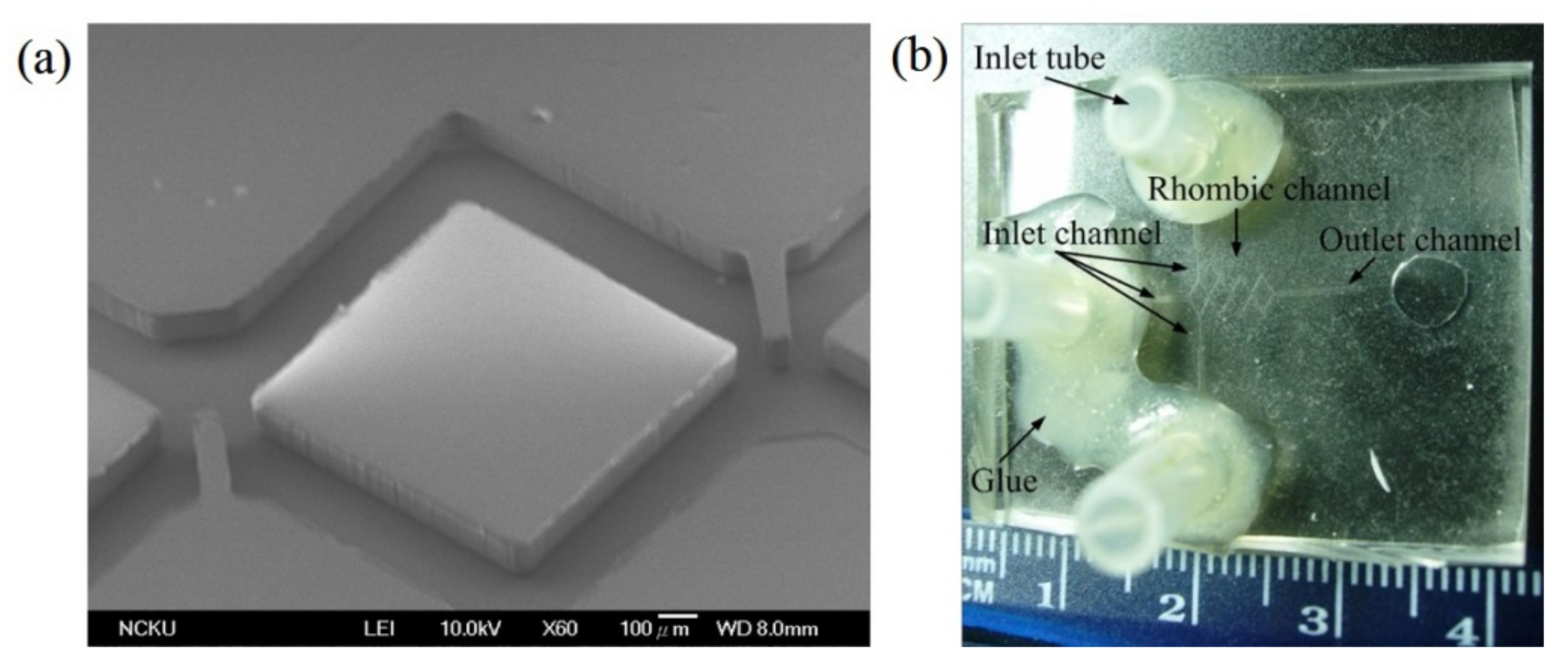 Micromachines 12 01350 g021