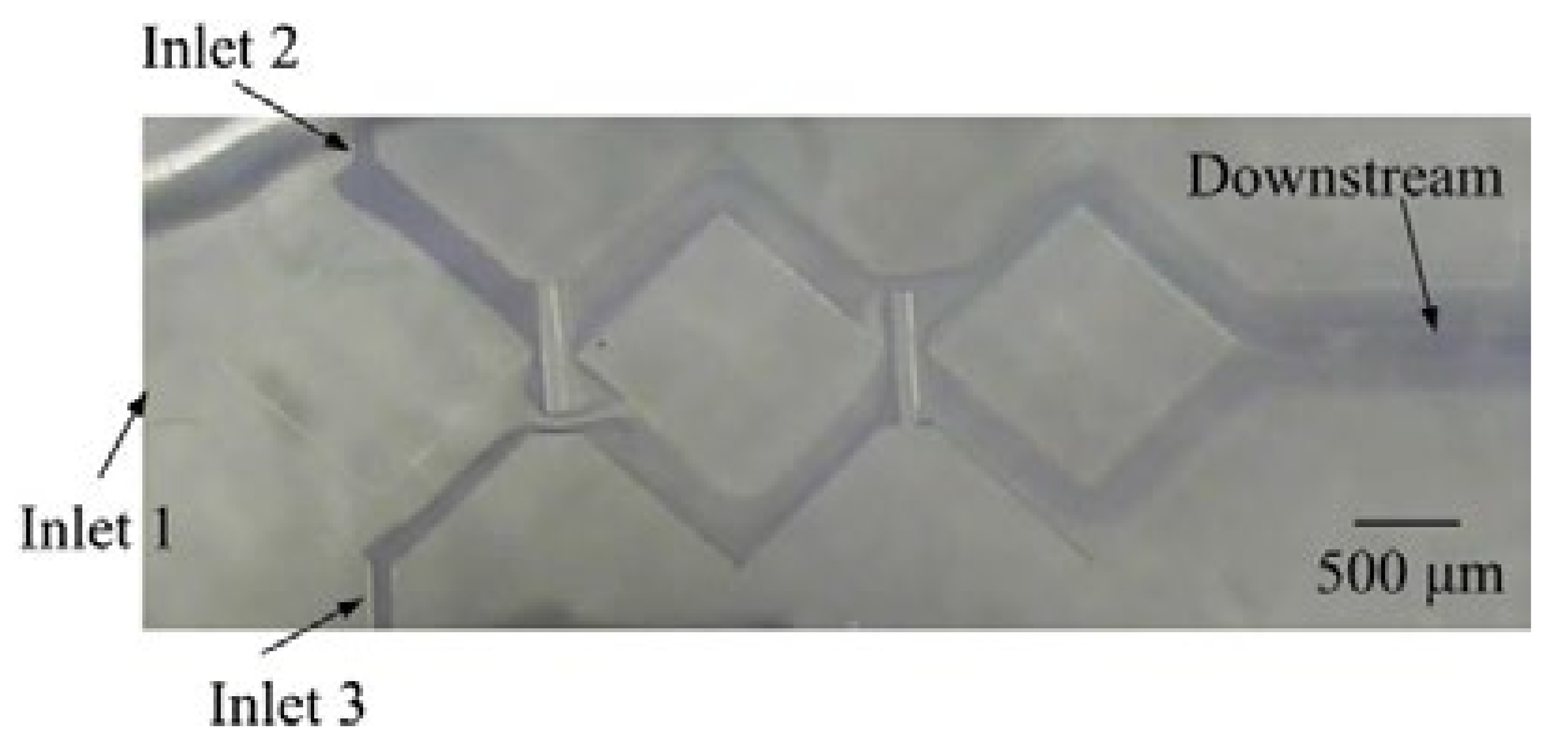 Micromachines 12 01350 g022