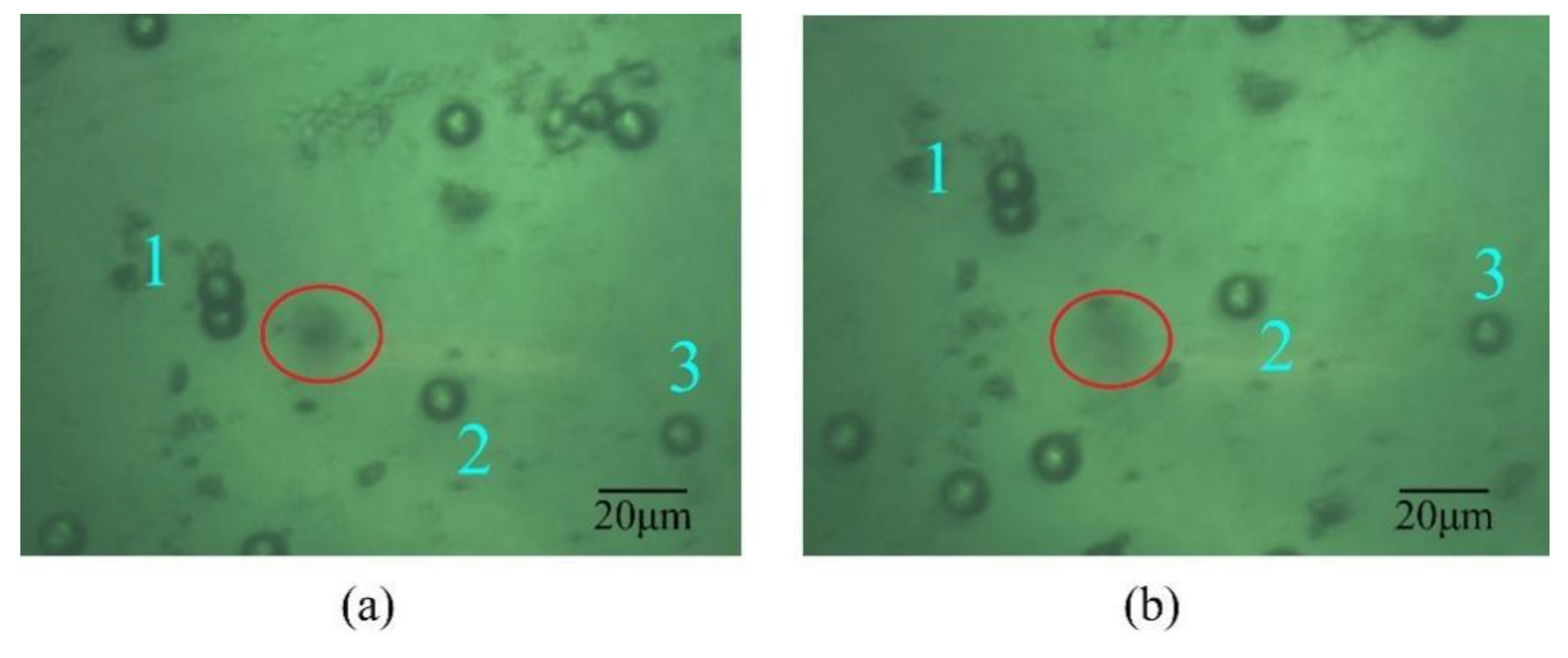 Micromachines 12 01375 g007