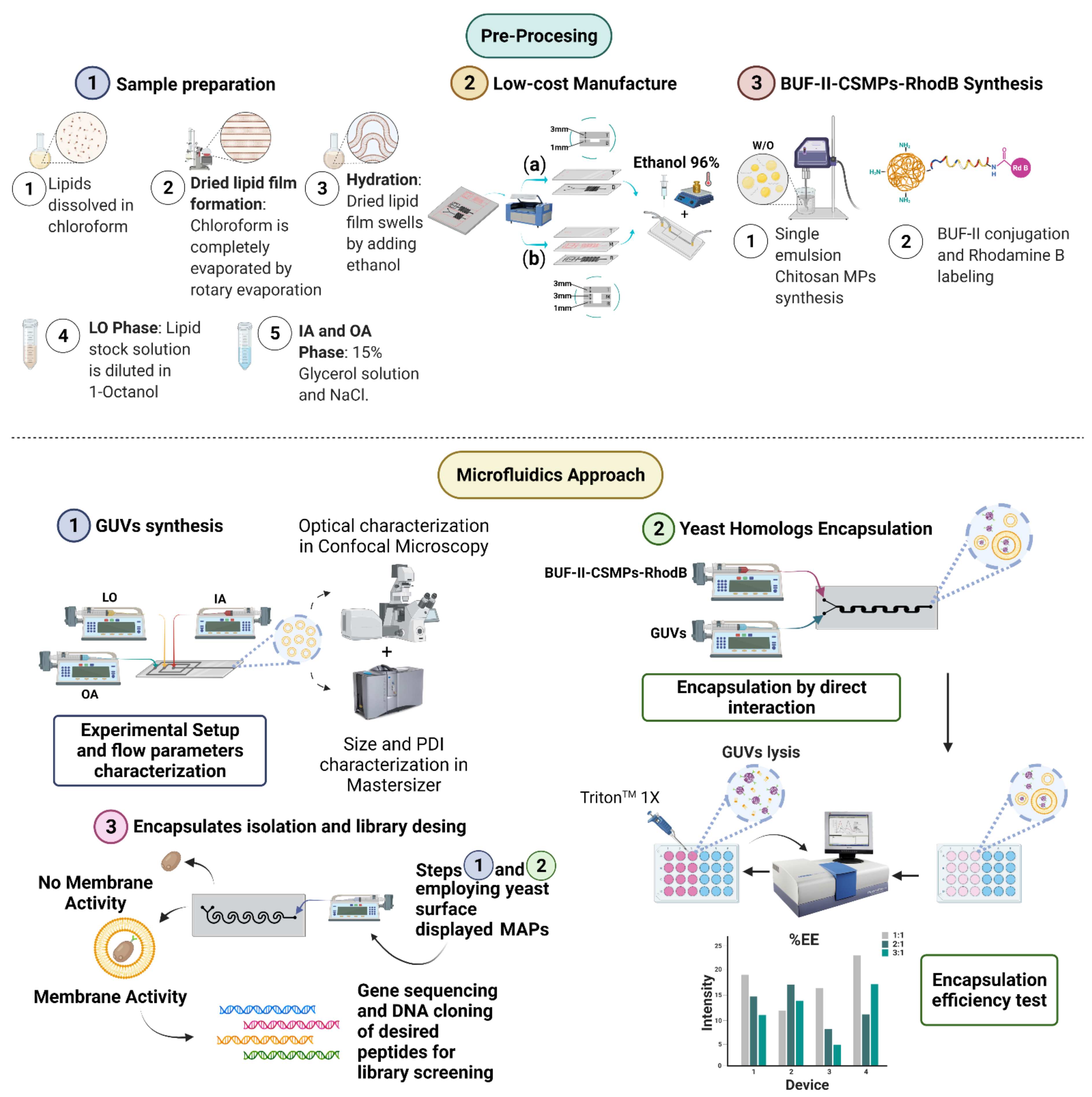 Micromachines 12 01377 g001