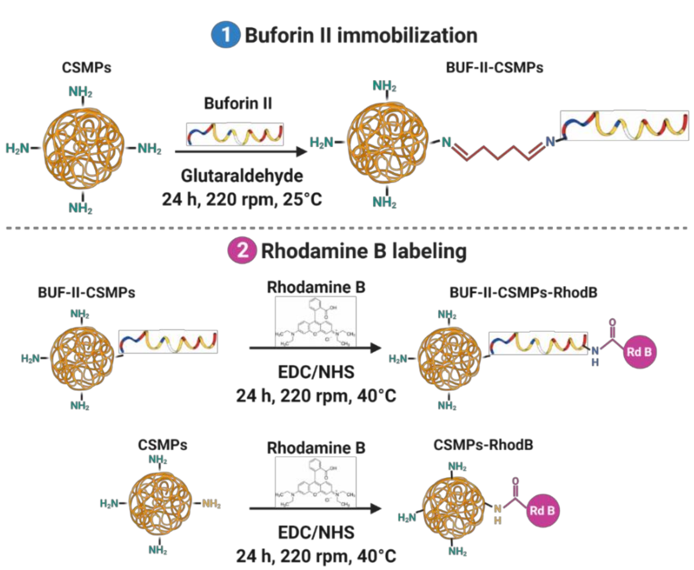 Micromachines 12 01377 g003