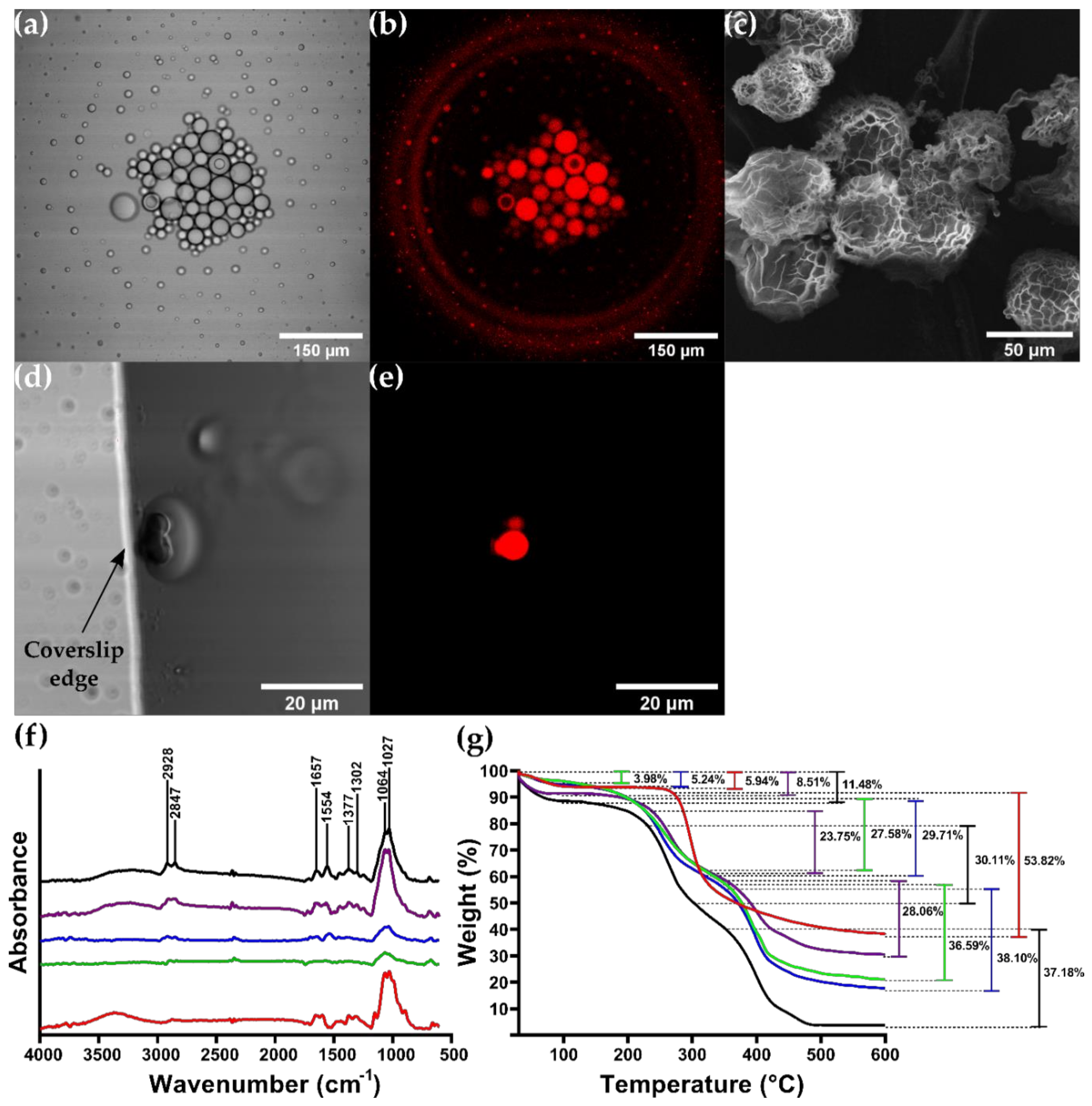 Micromachines 12 01377 g007