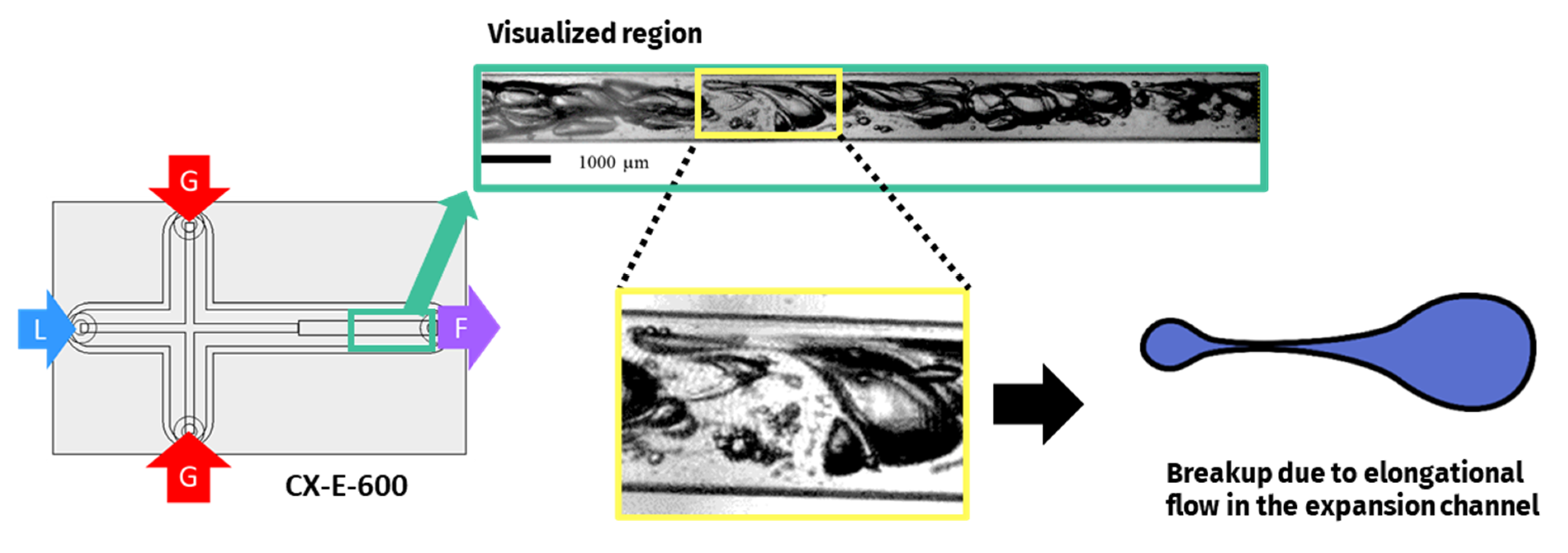 Micromachines 12 01415 g006