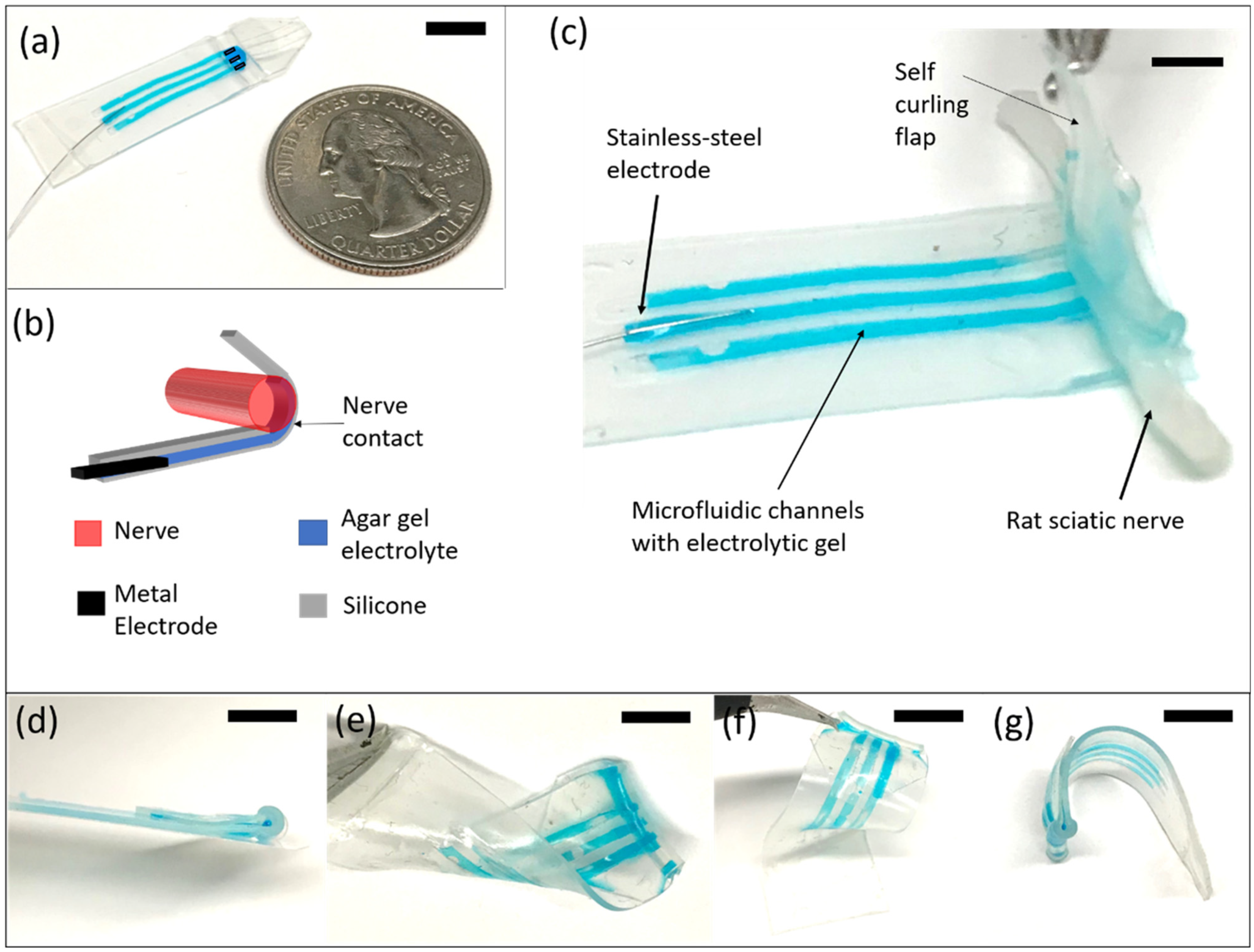 Micromachines 12 01522 g001