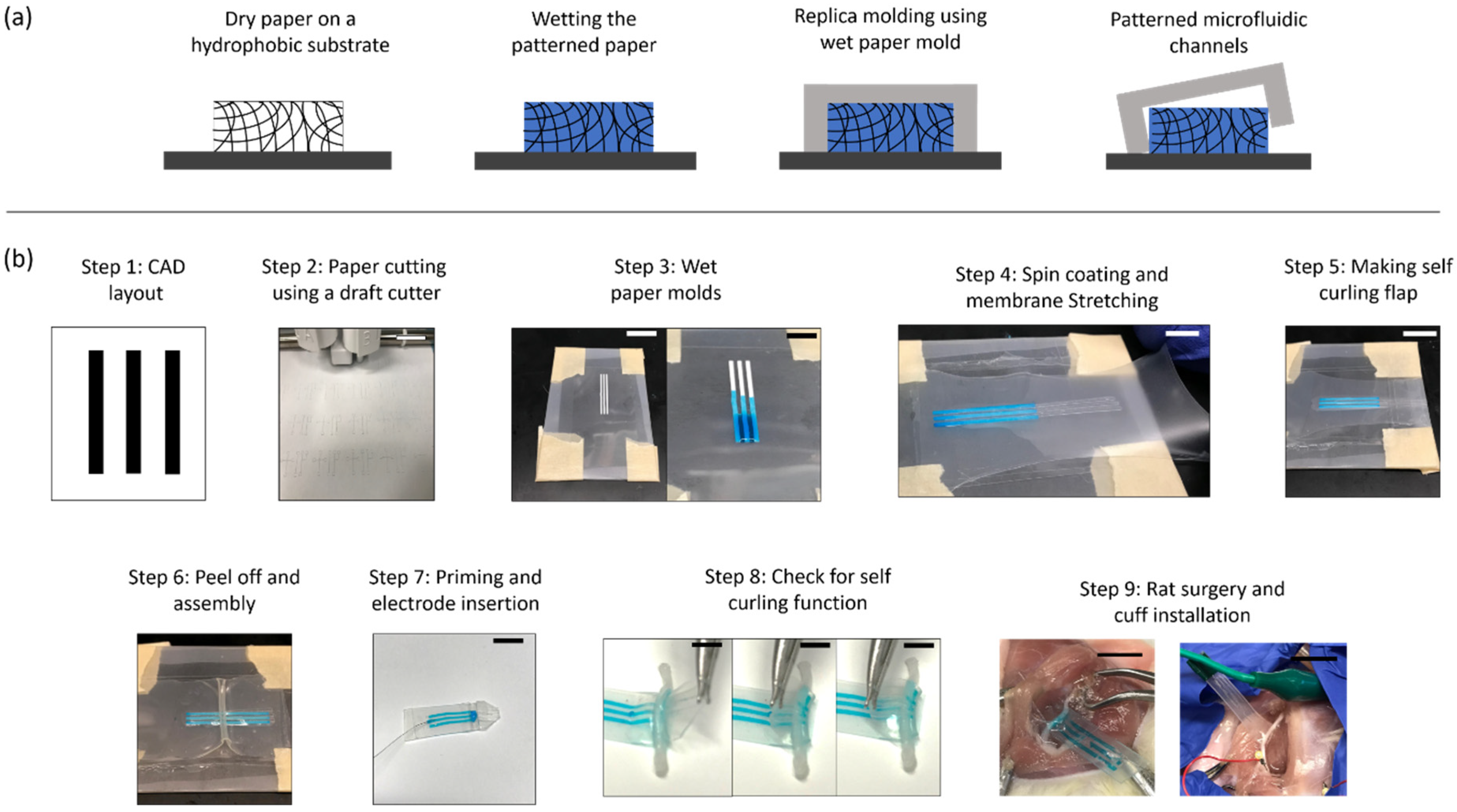 Micromachines 12 01522 g002