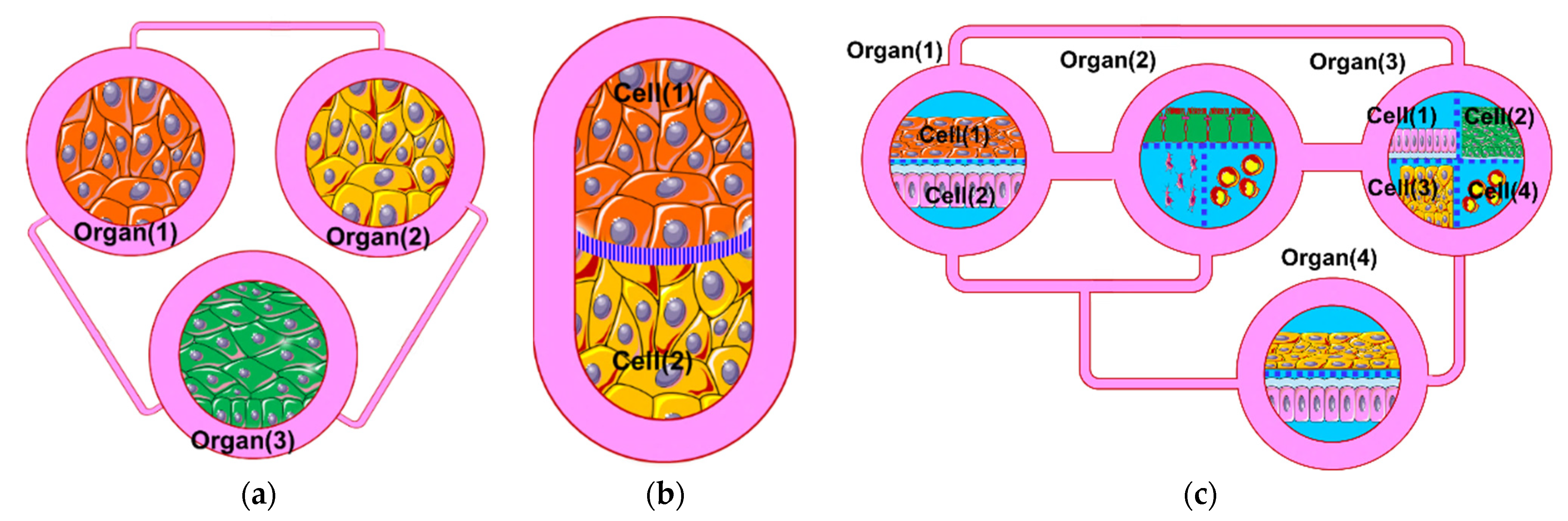 Micromachines 12 01542 g001