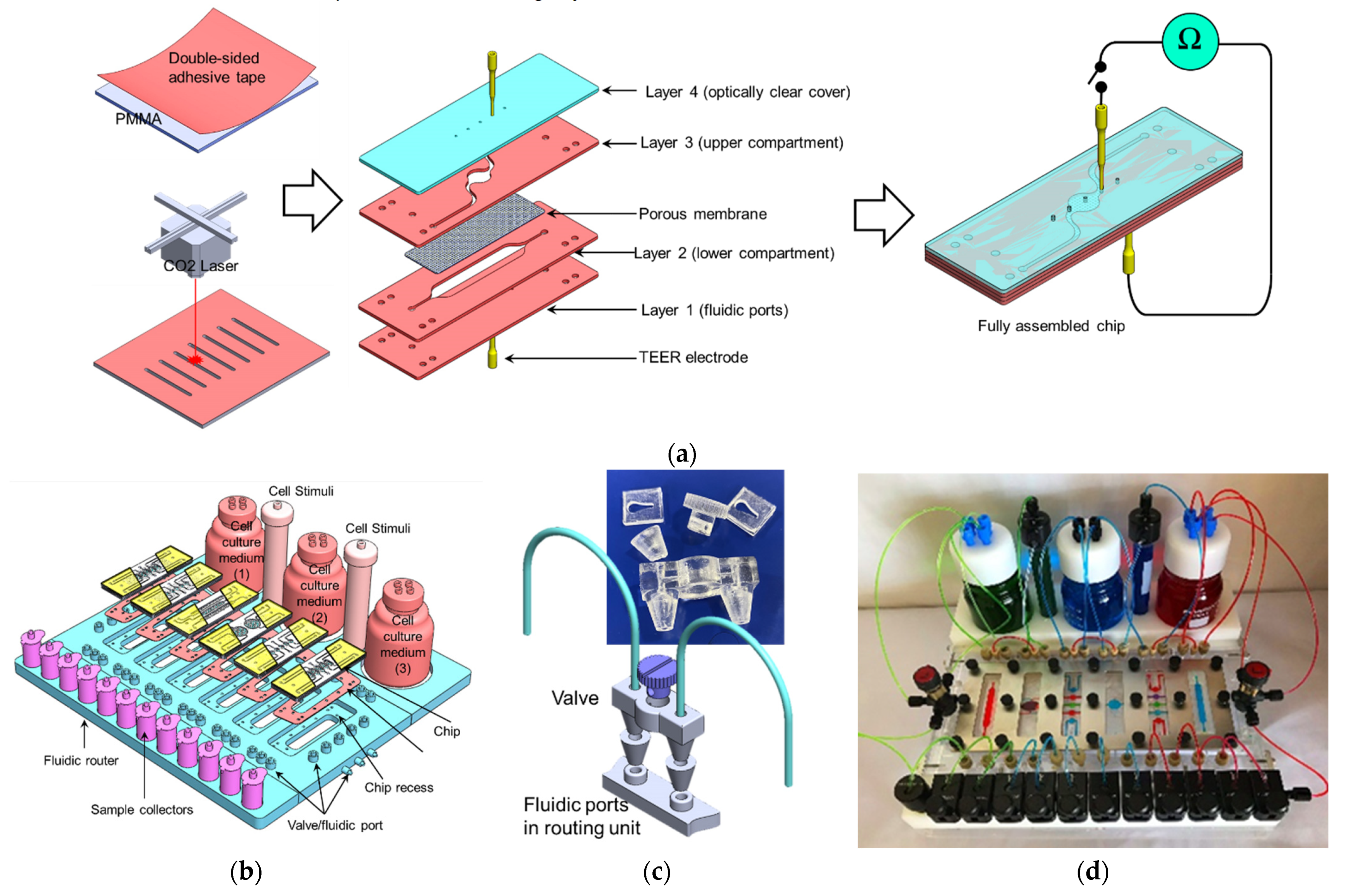 Micromachines 12 01542 g002a