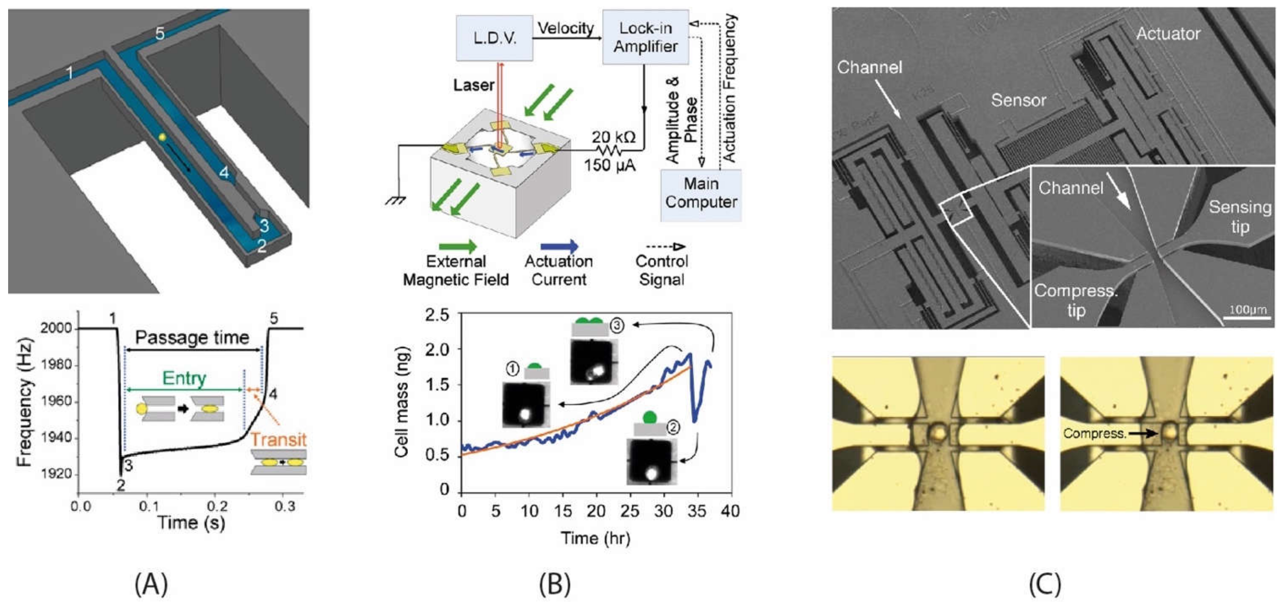 Micromachines 12 01546 g003