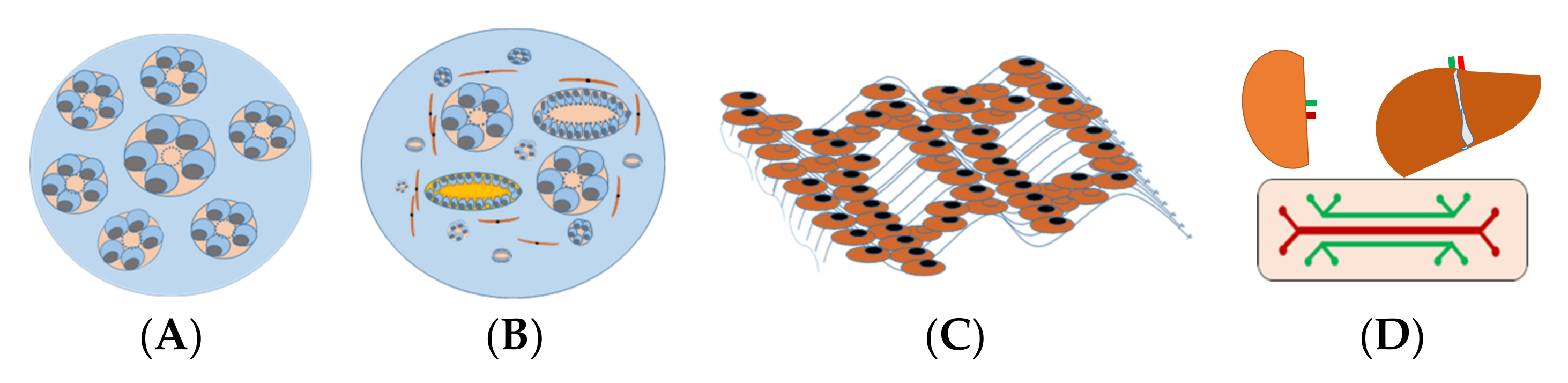 Micromachines 13 00003 g001