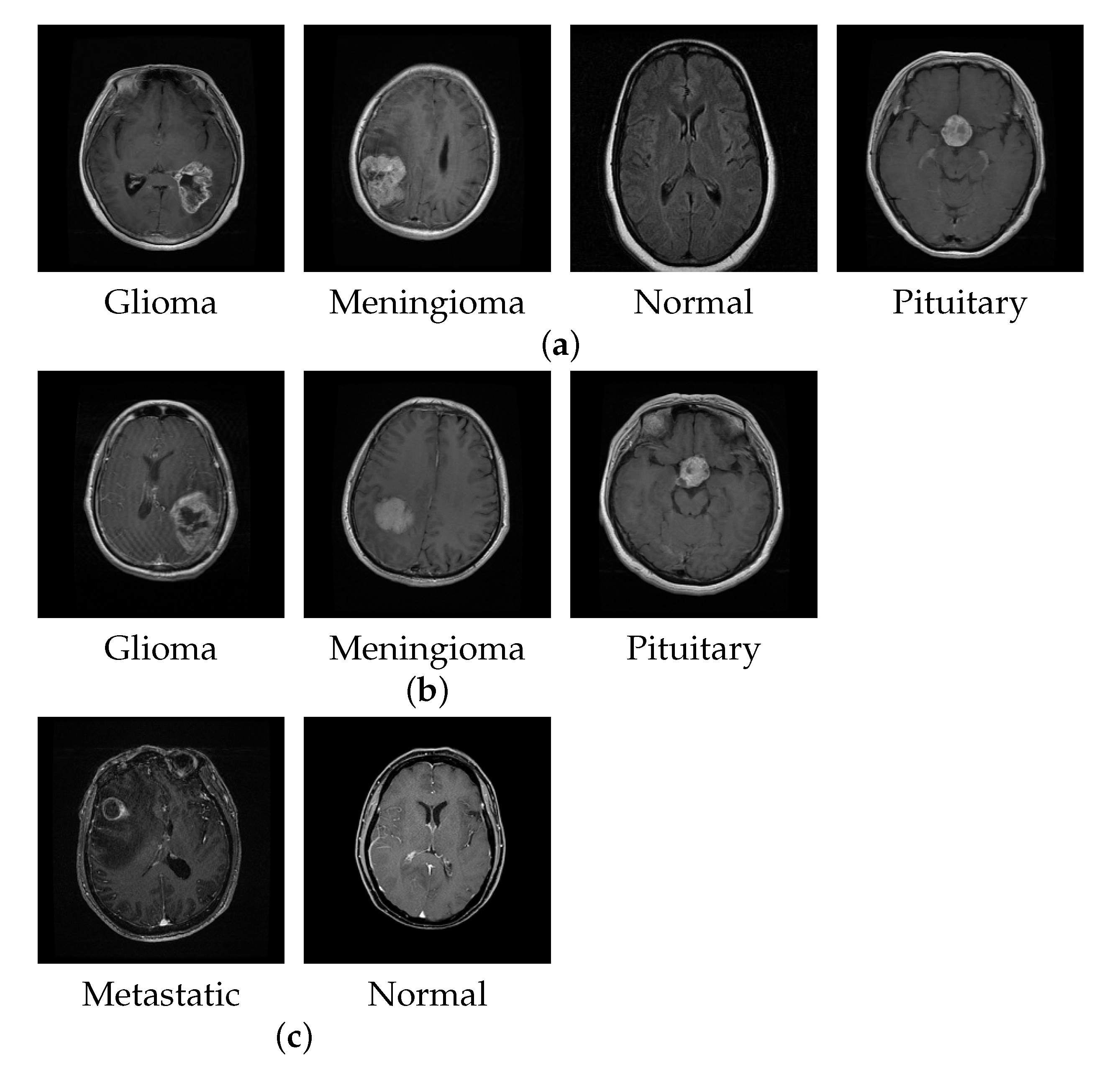 Micromachines 13 00015 g006