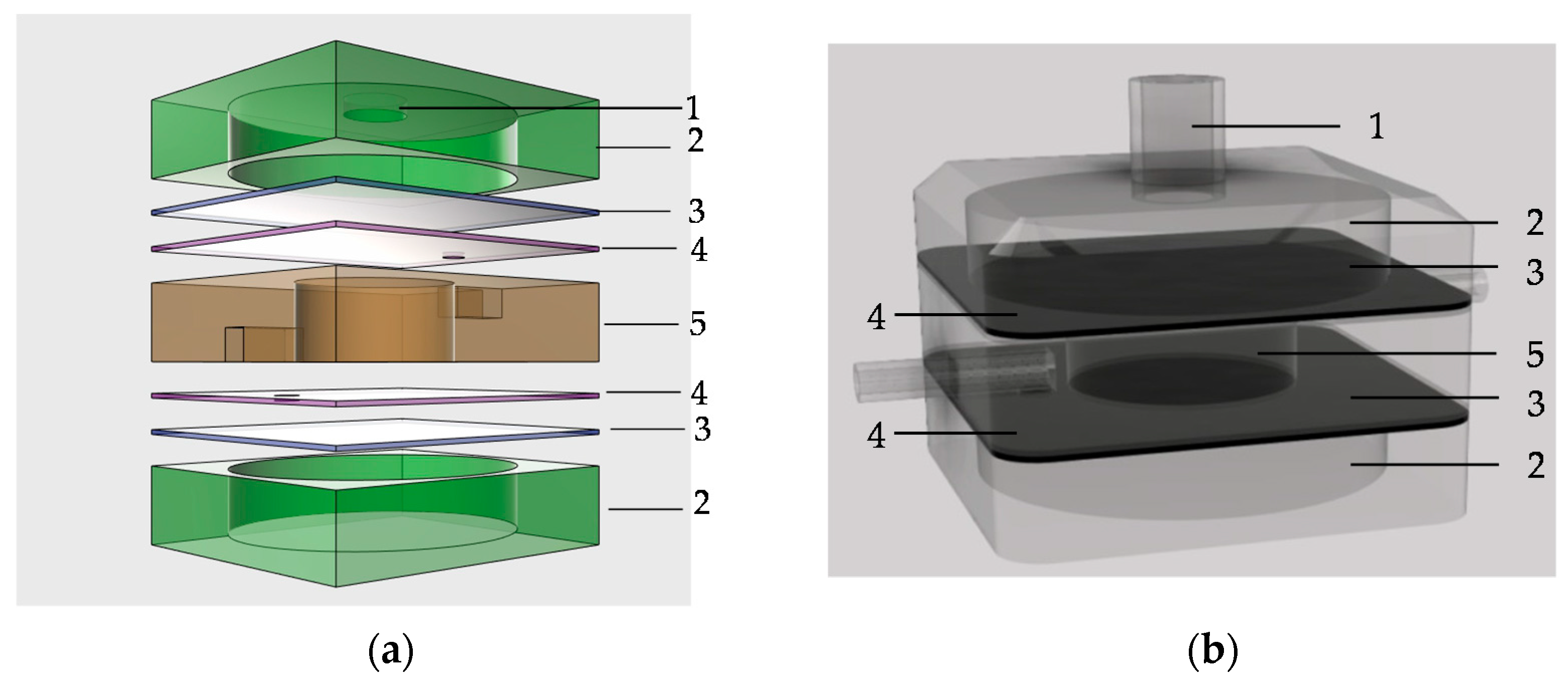 Micromachines 13 00016 g001