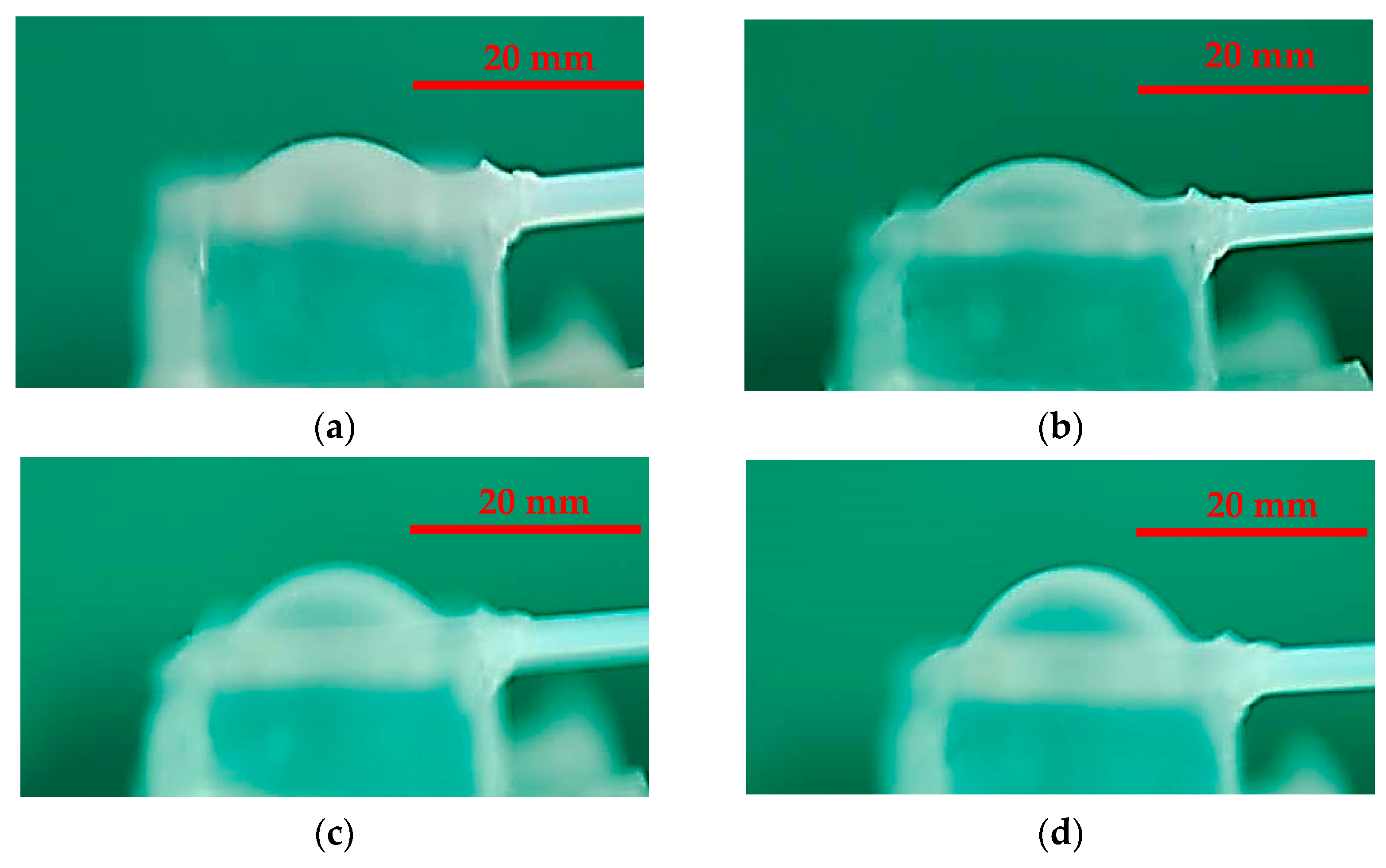 Micromachines 13 00016 g005