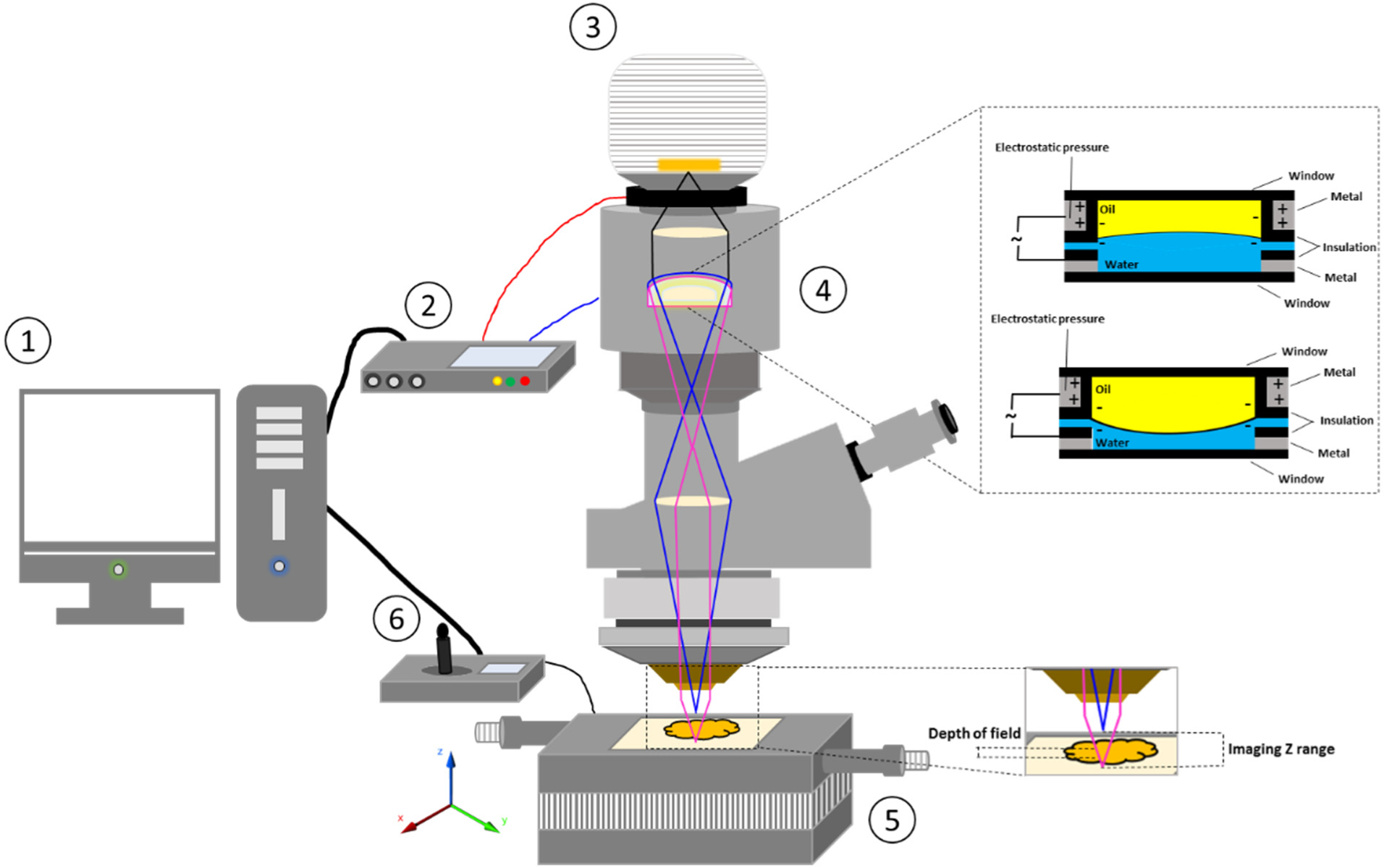 Micromachines 13 00017 g001