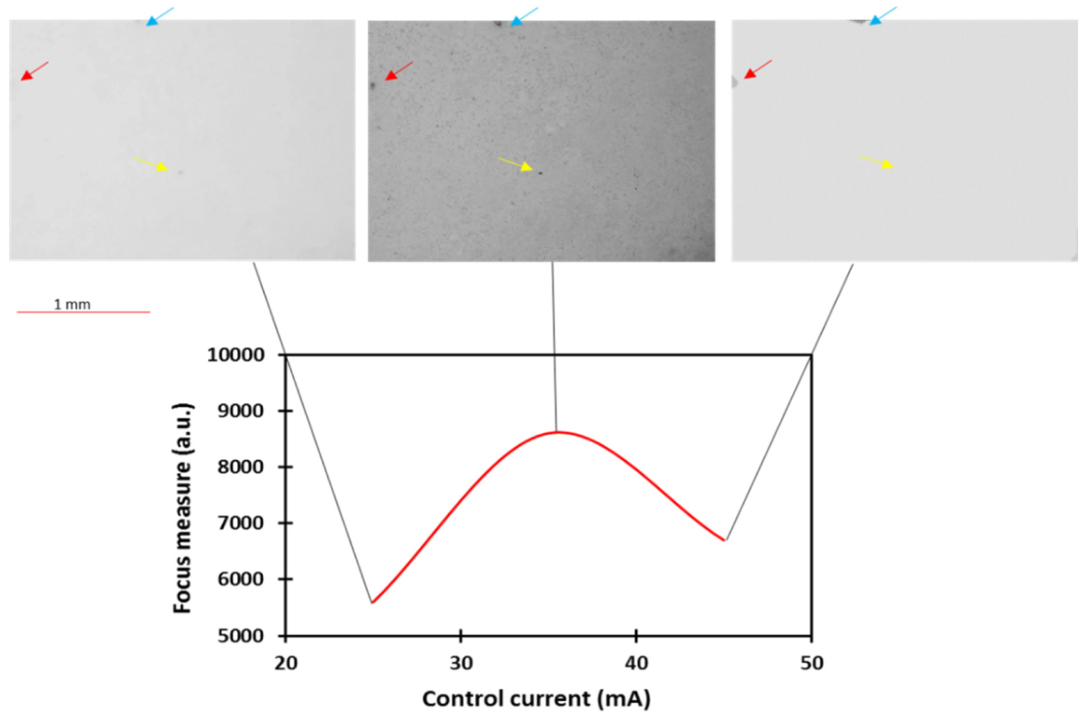 Micromachines 13 00017 g004