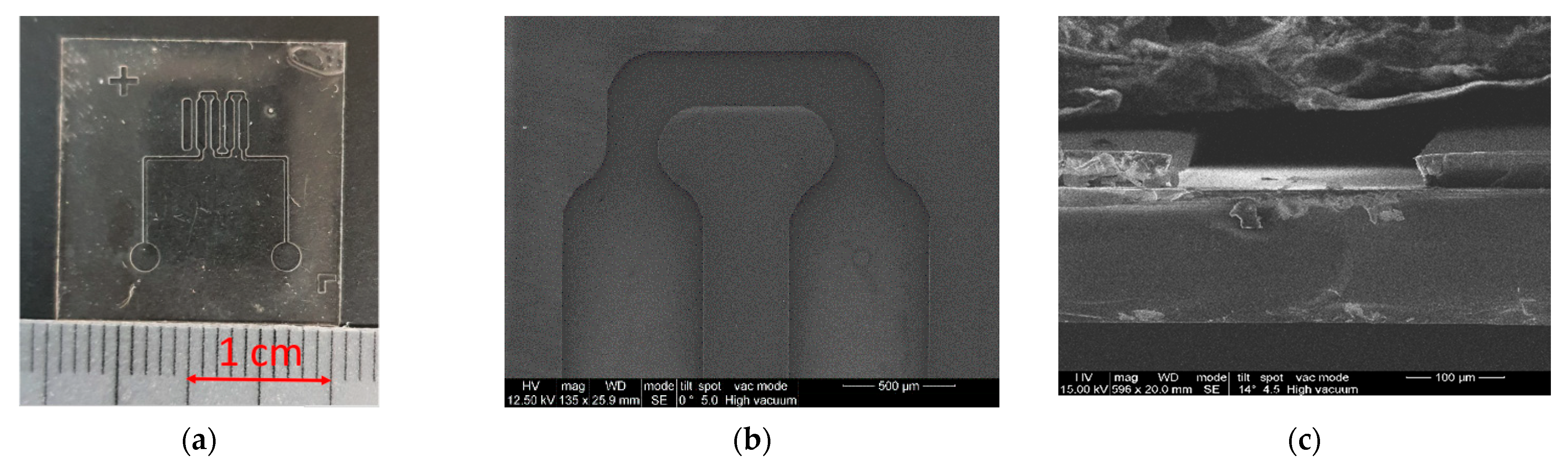 Micromachines 13 00020 g006