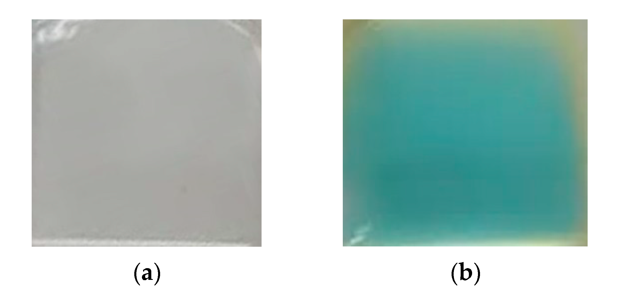 Micromachines 13 00020 g010