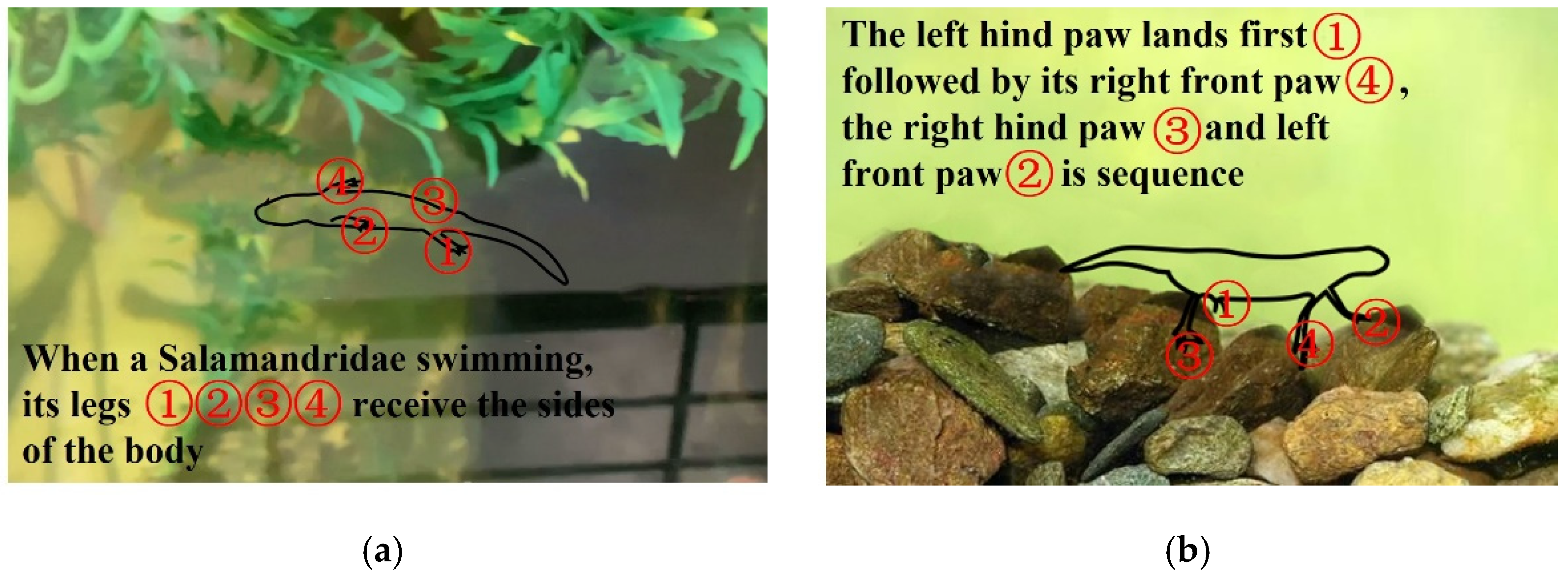 Micromachines 13 00025 g005