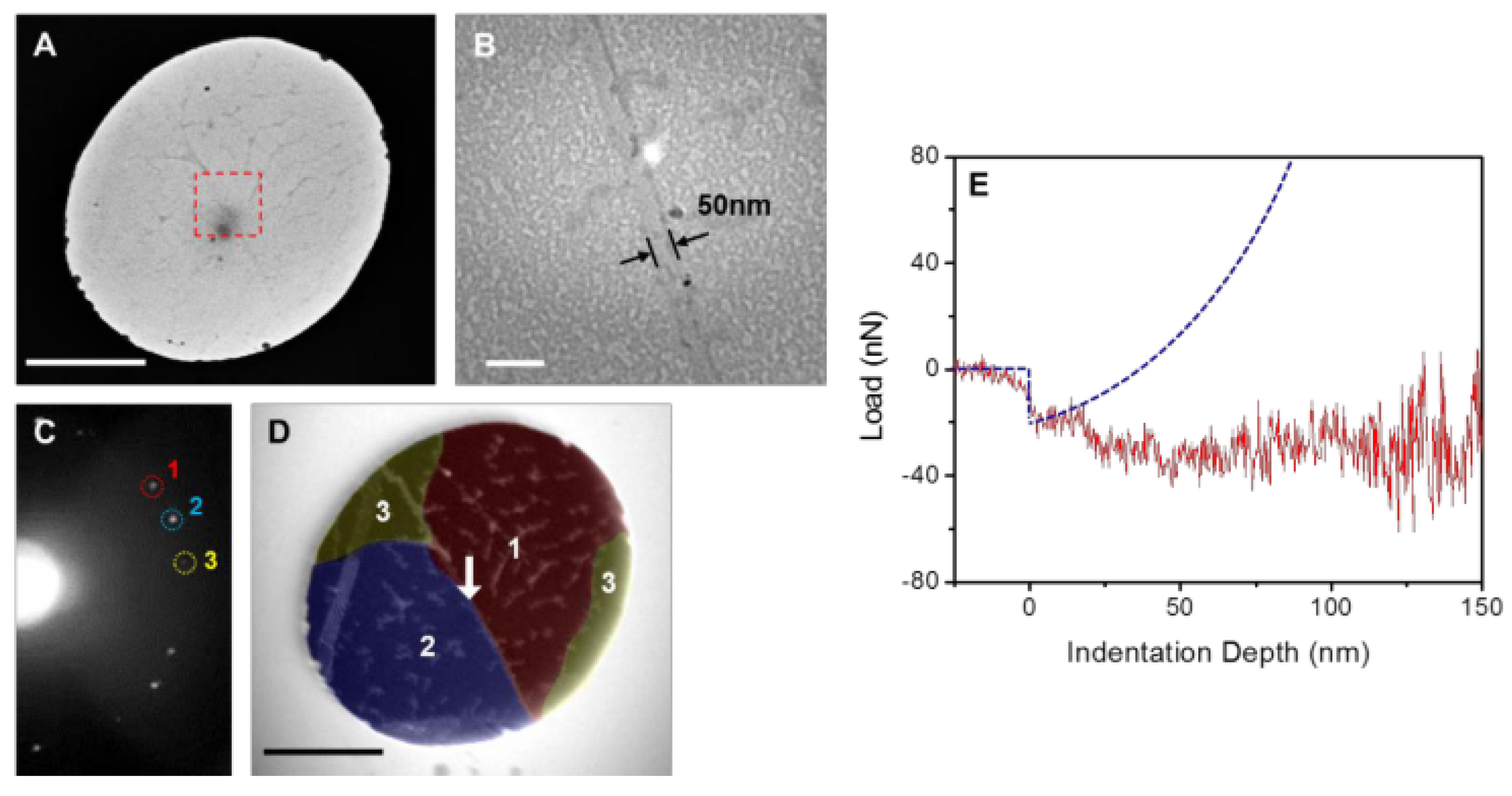 Micromachines 13 00027 g009
