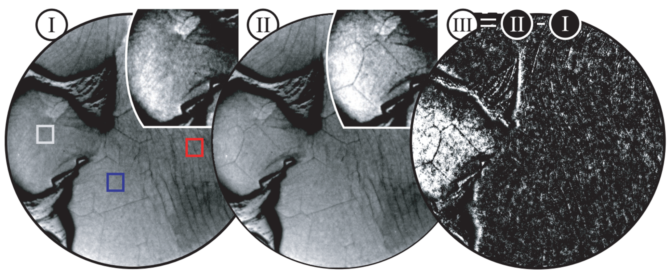 Micromachines 13 00027 g012