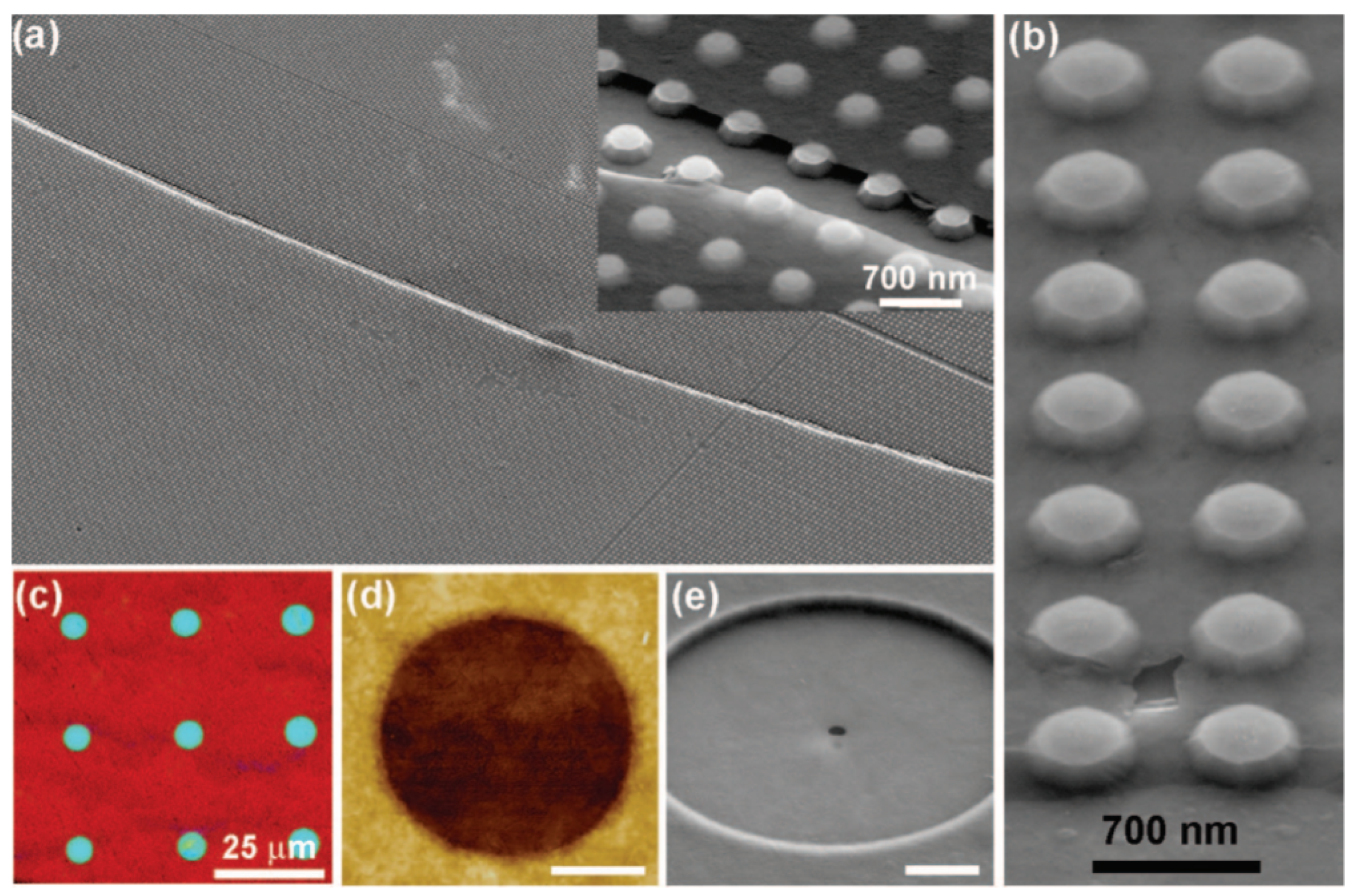 Micromachines 13 00027 g025