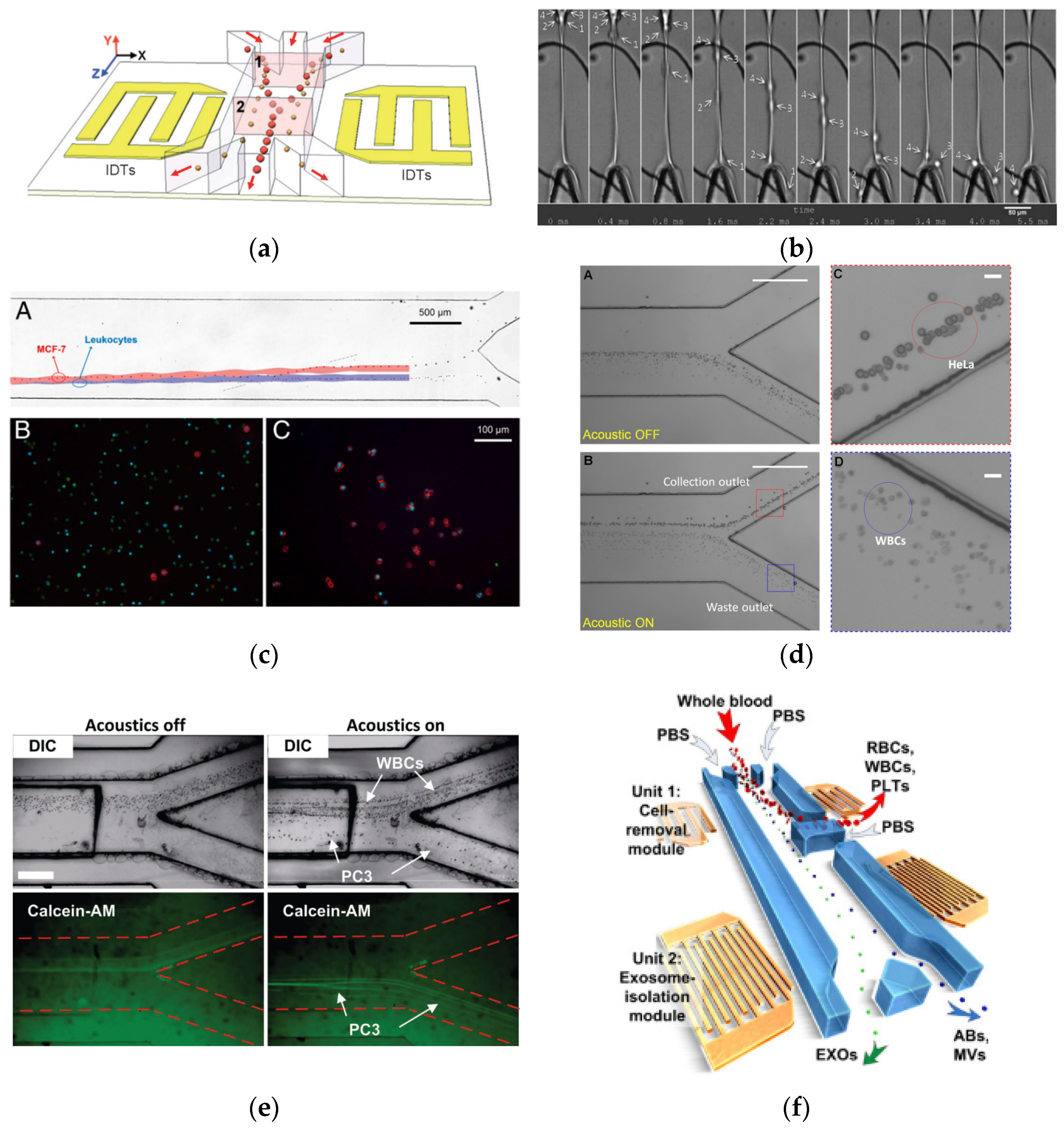 Micromachines 13 00030 g006