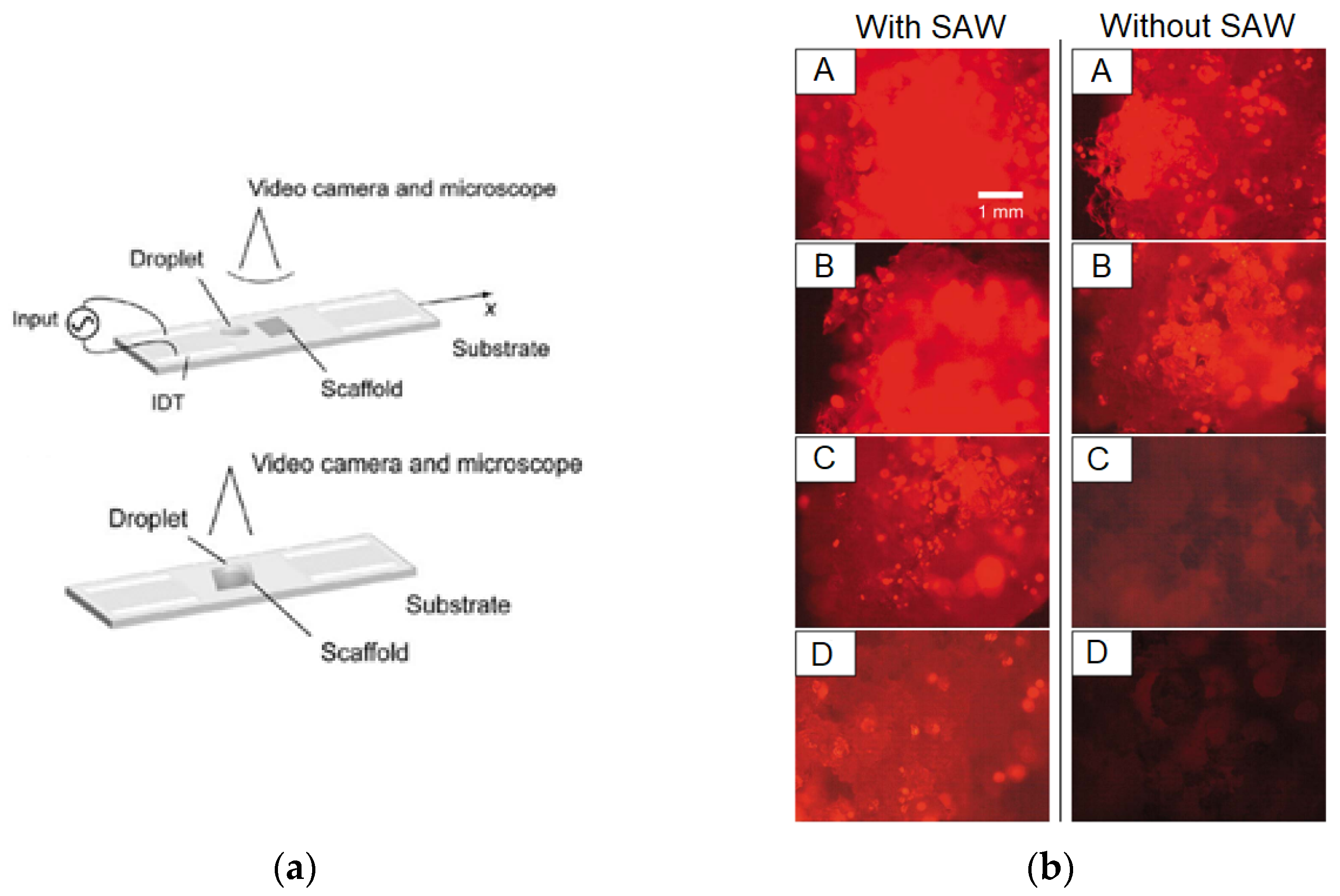 Micromachines 13 00030 g008a