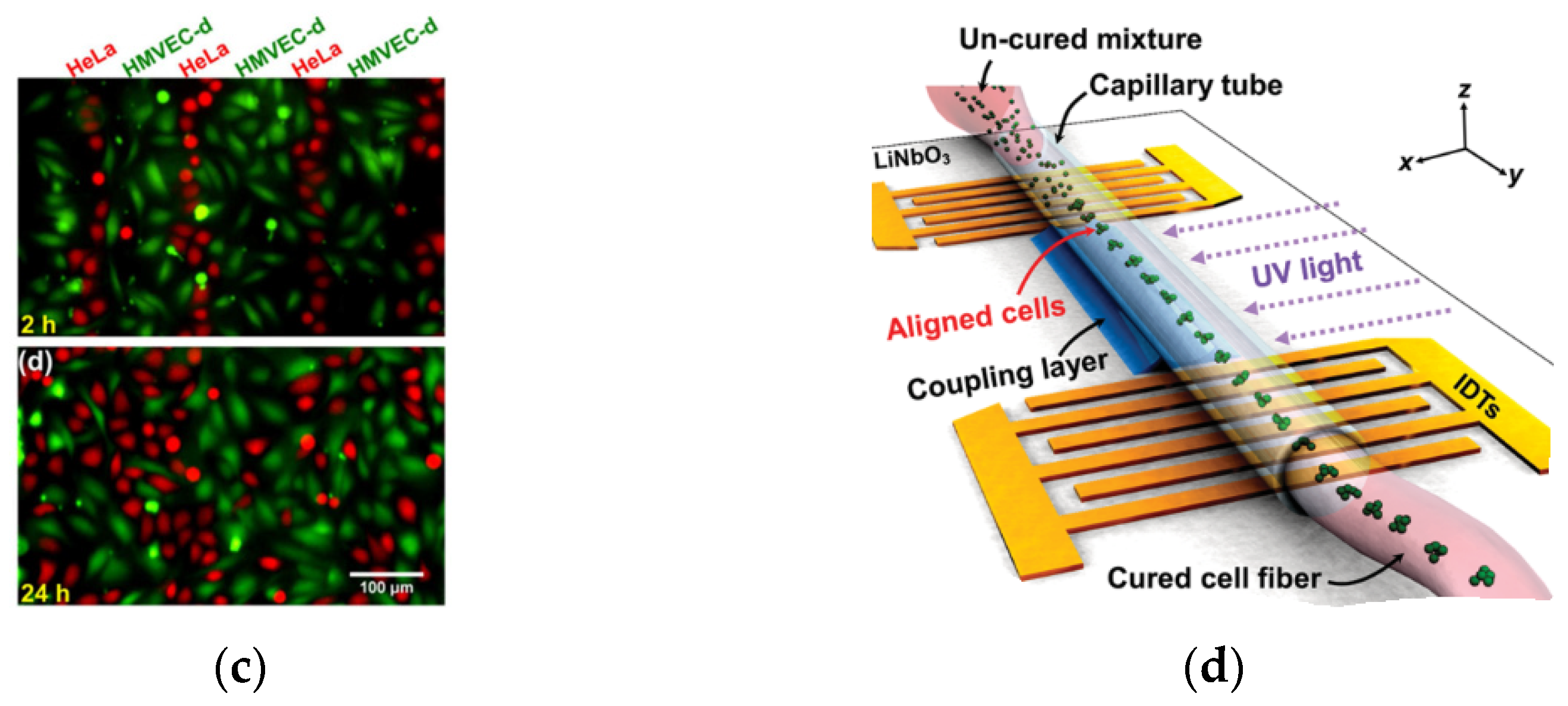 Micromachines 13 00030 g008b