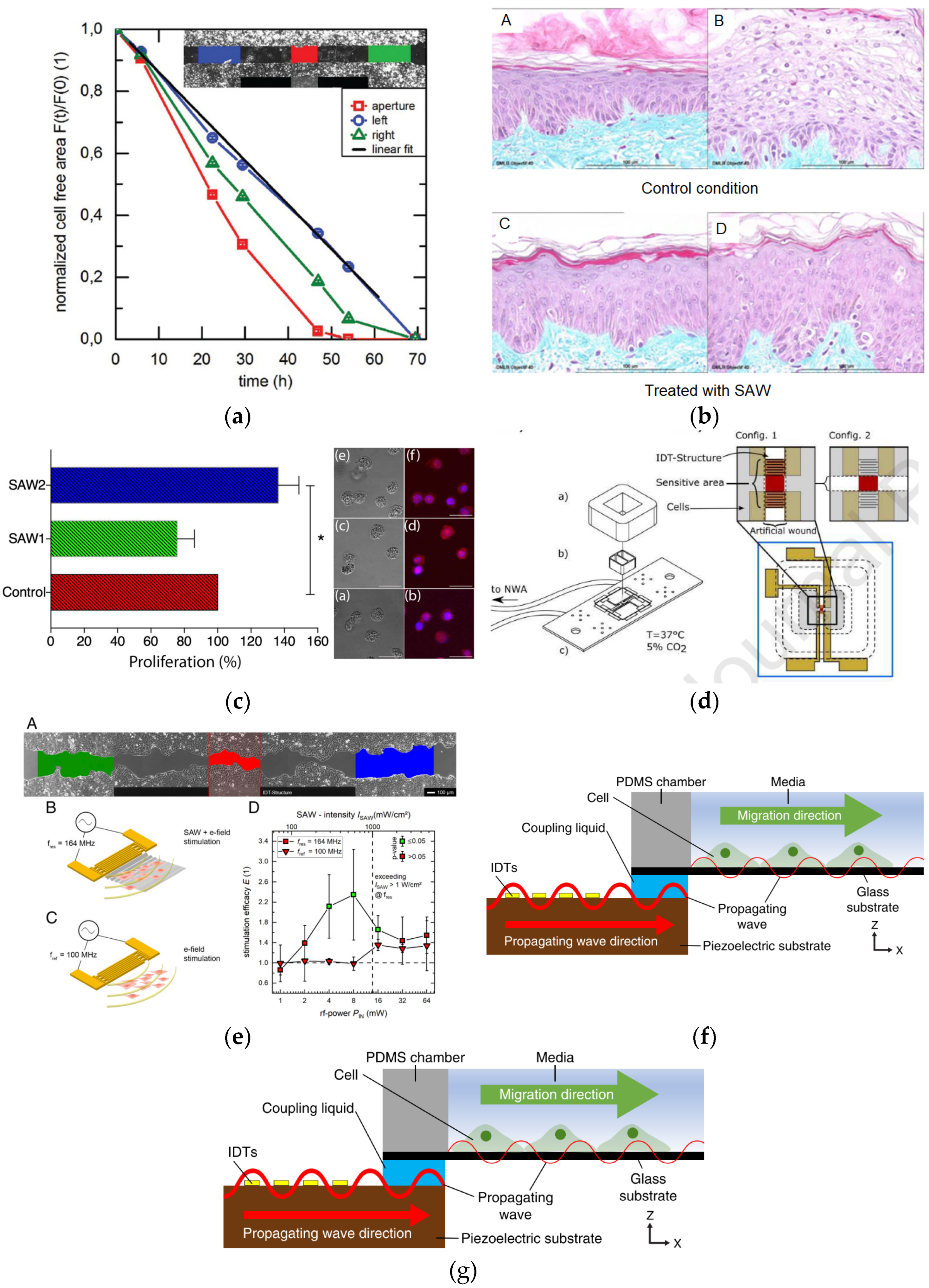 Micromachines 13 00030 g009