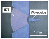 Micromachines 13 00030 i002