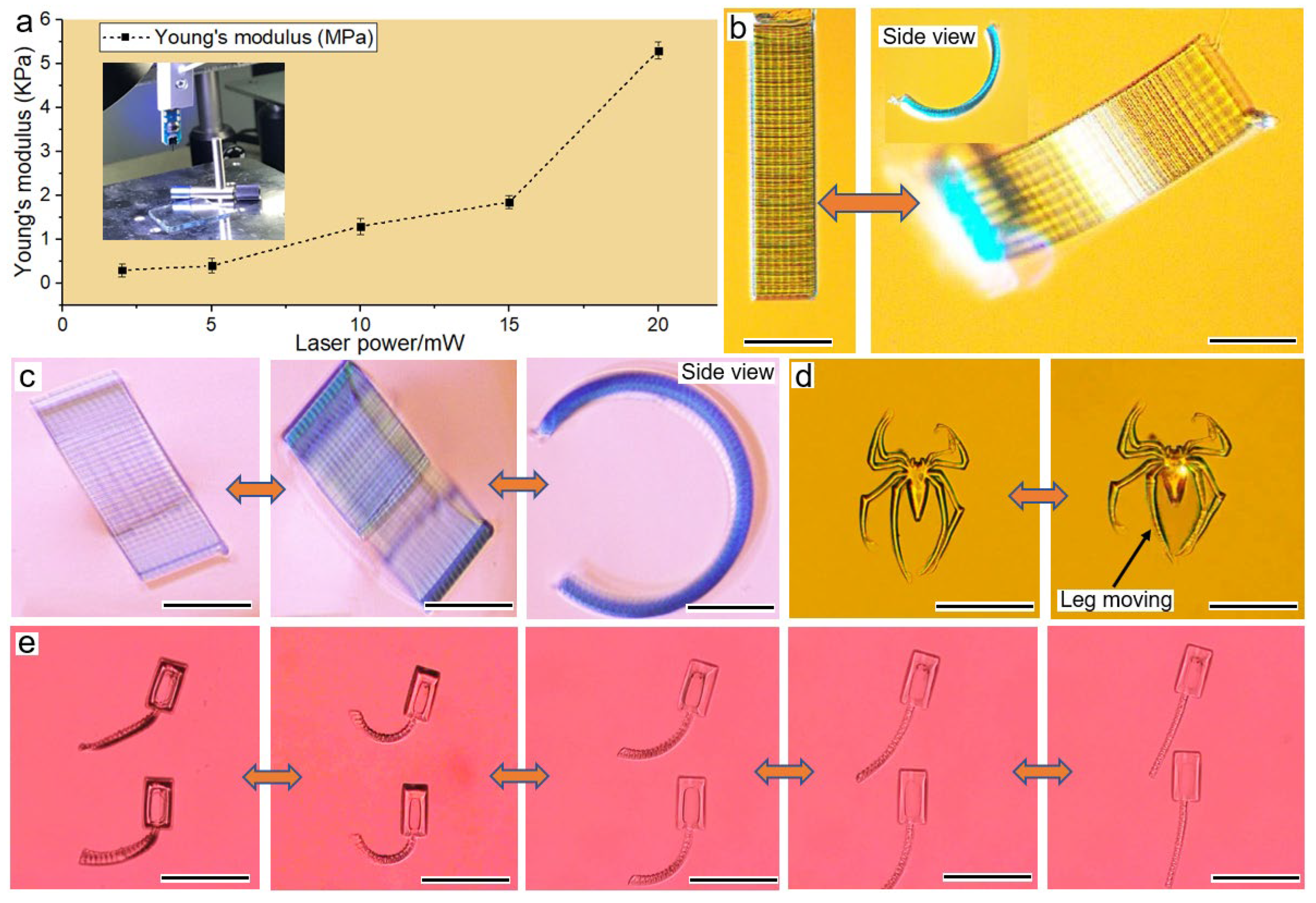 Micromachines 13 00032 g004