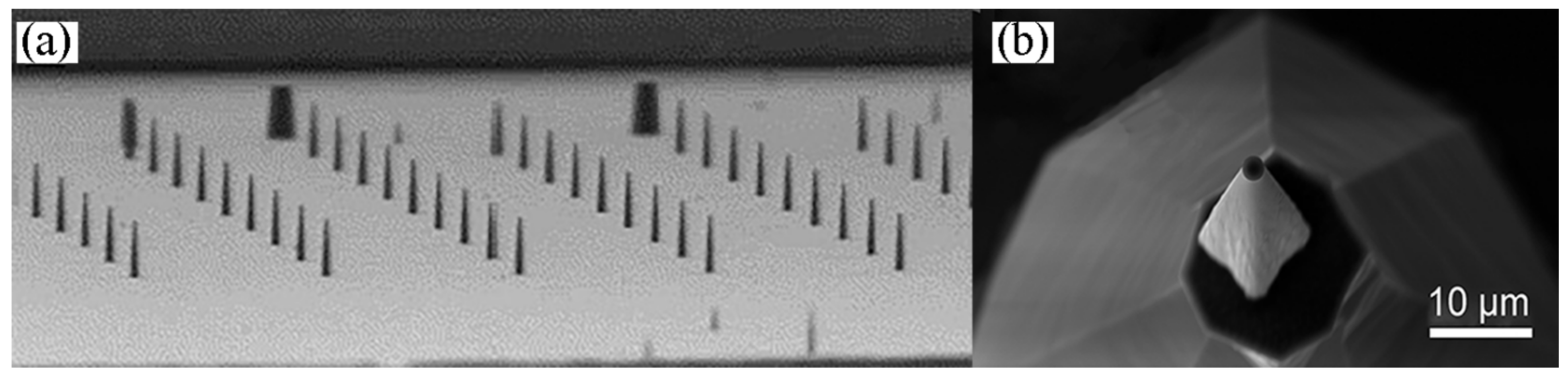 Micromachines 13 00035 g004 Micromachines 13 00035 g004