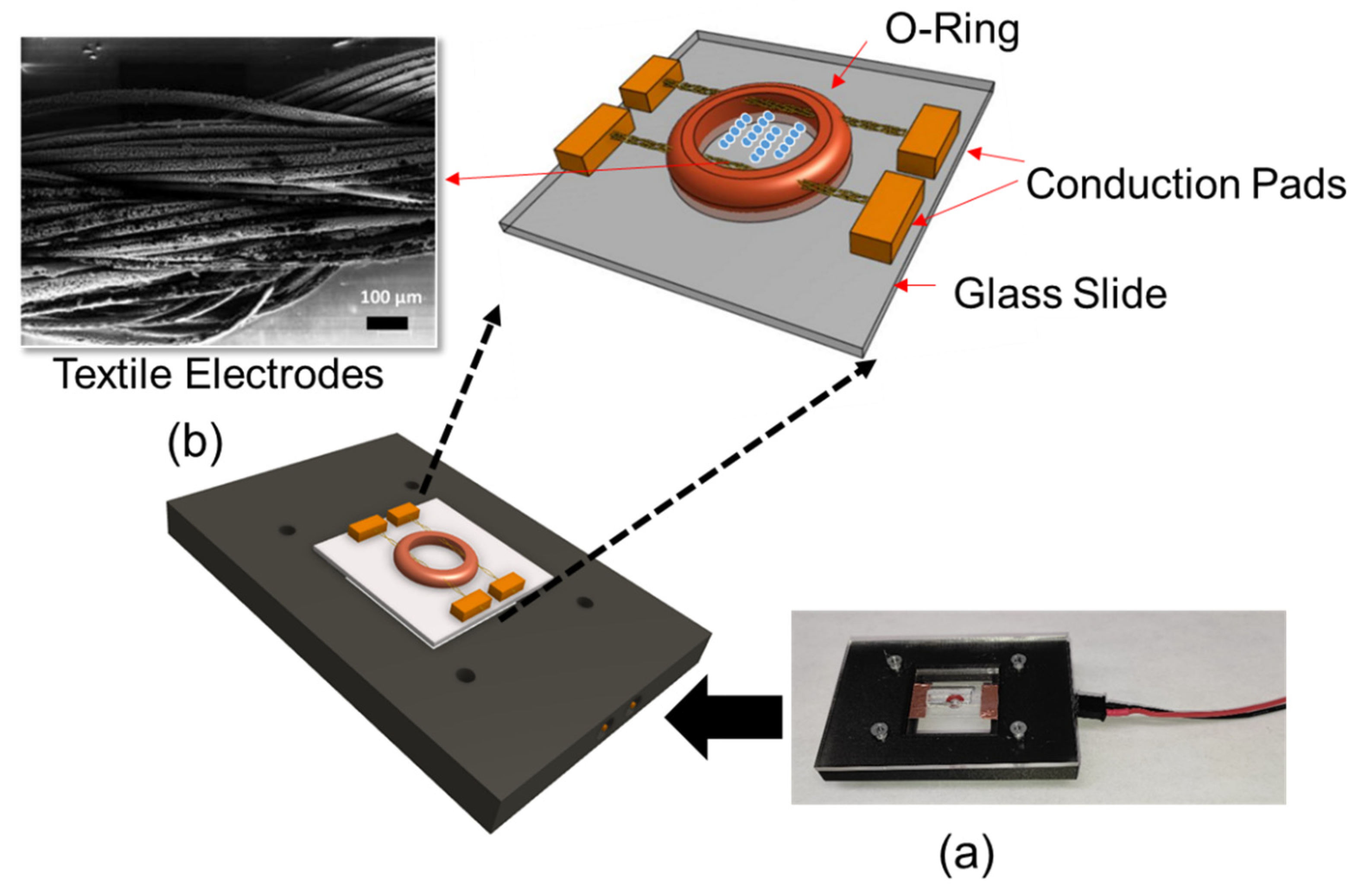 Micromachines 13 00041 g001