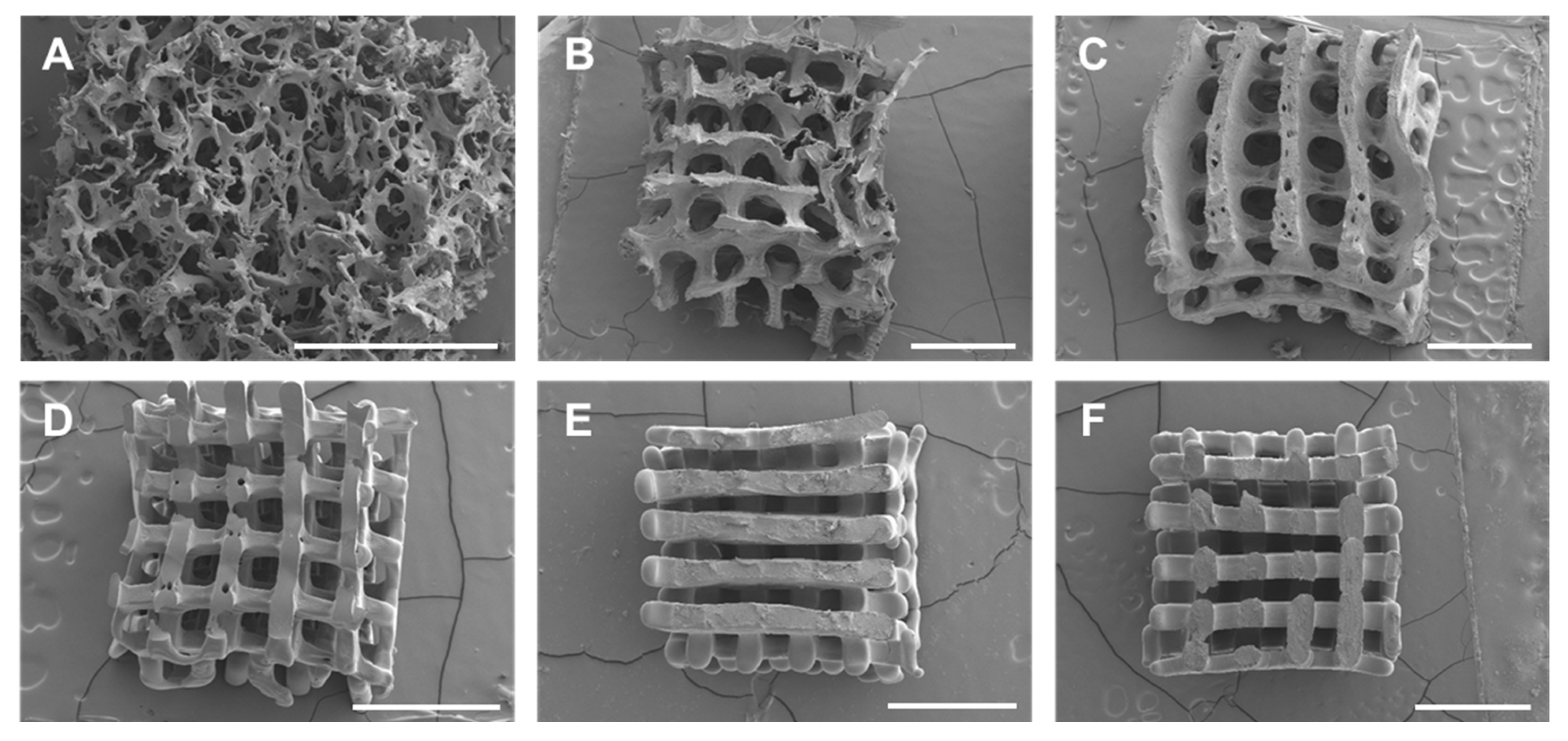 Micromachines 13 00043 g005