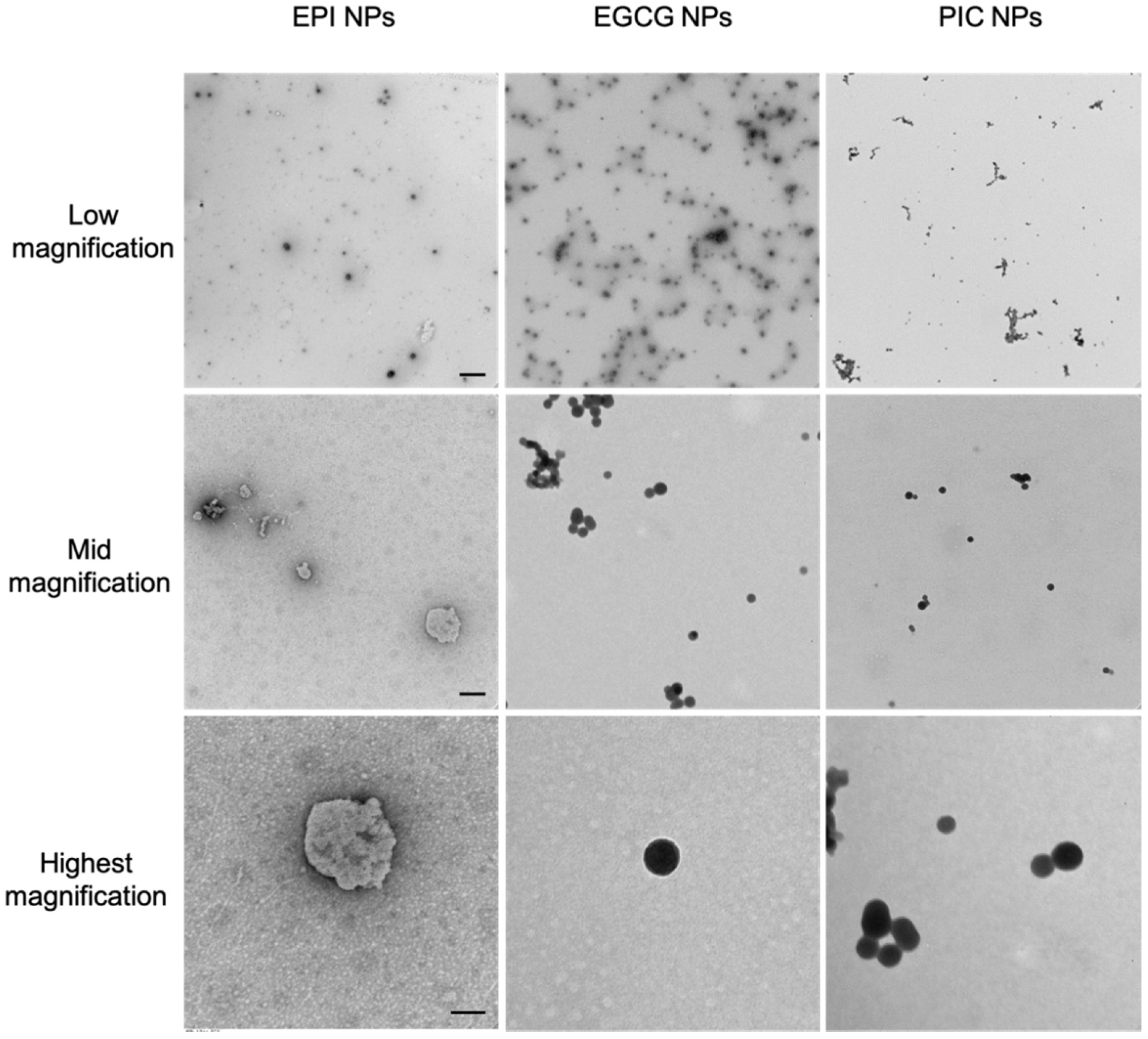 Micromachines 13 00045 g001