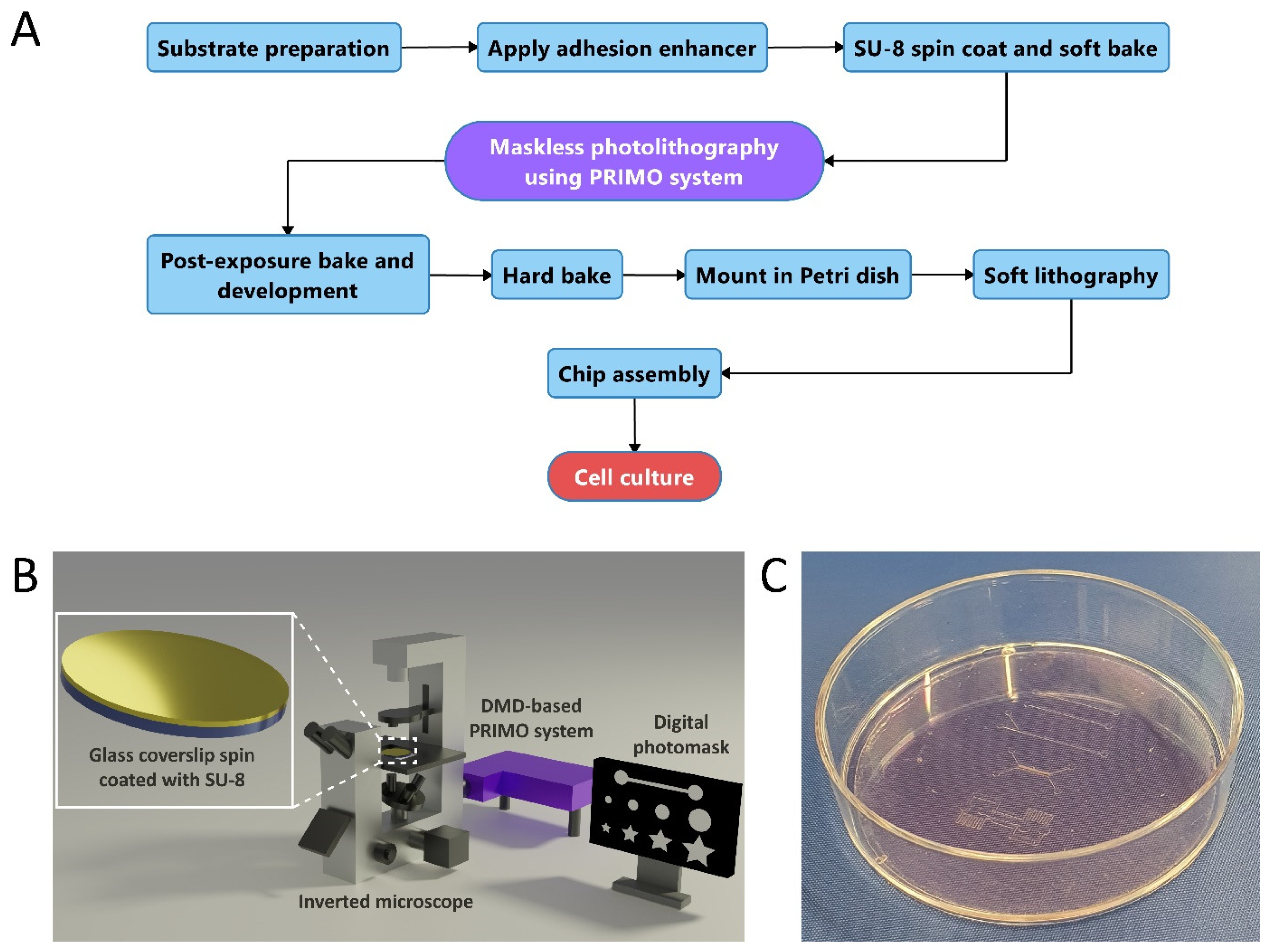 Micromachines 13 00049 g001