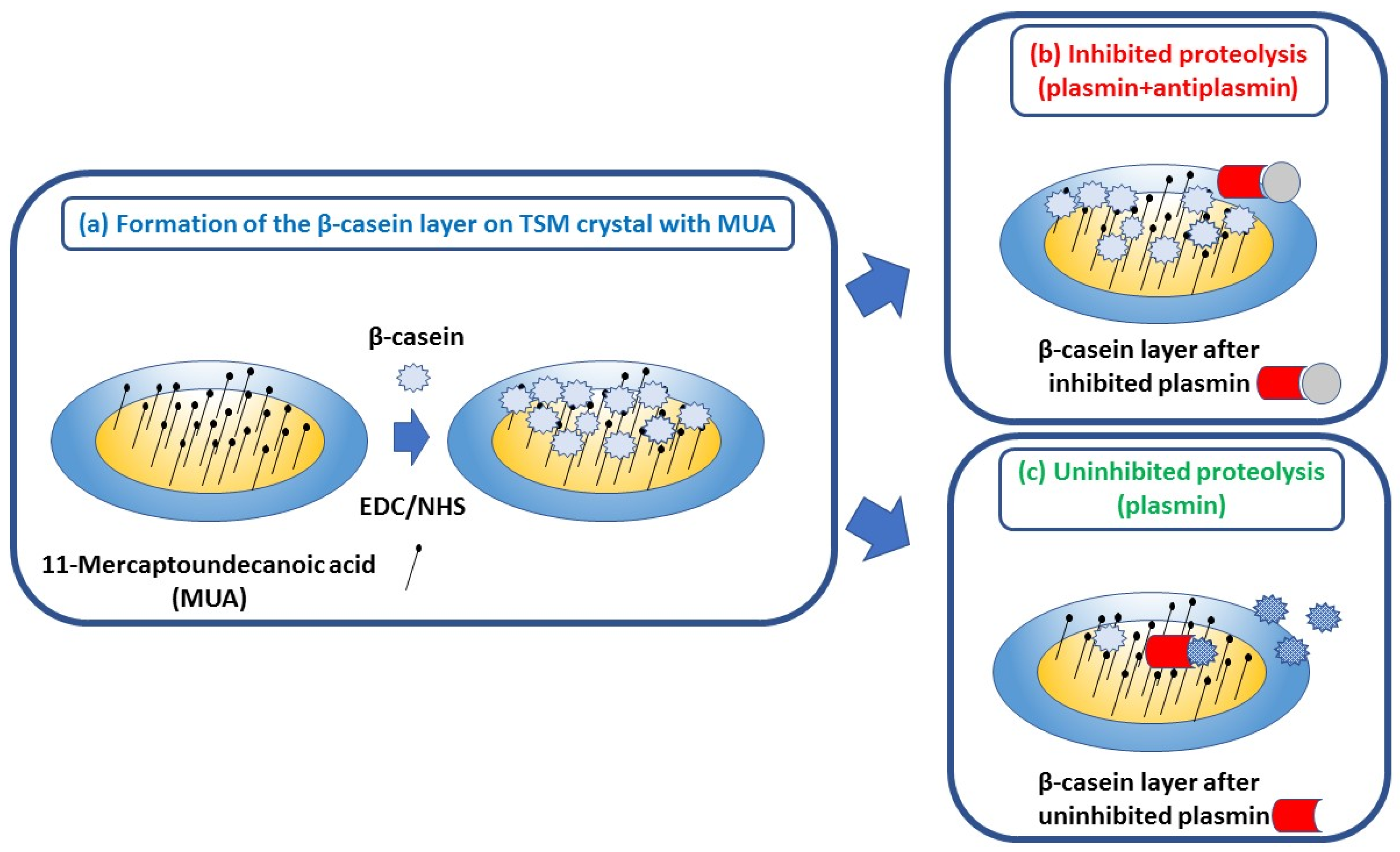 Micromachines 13 00055 g001